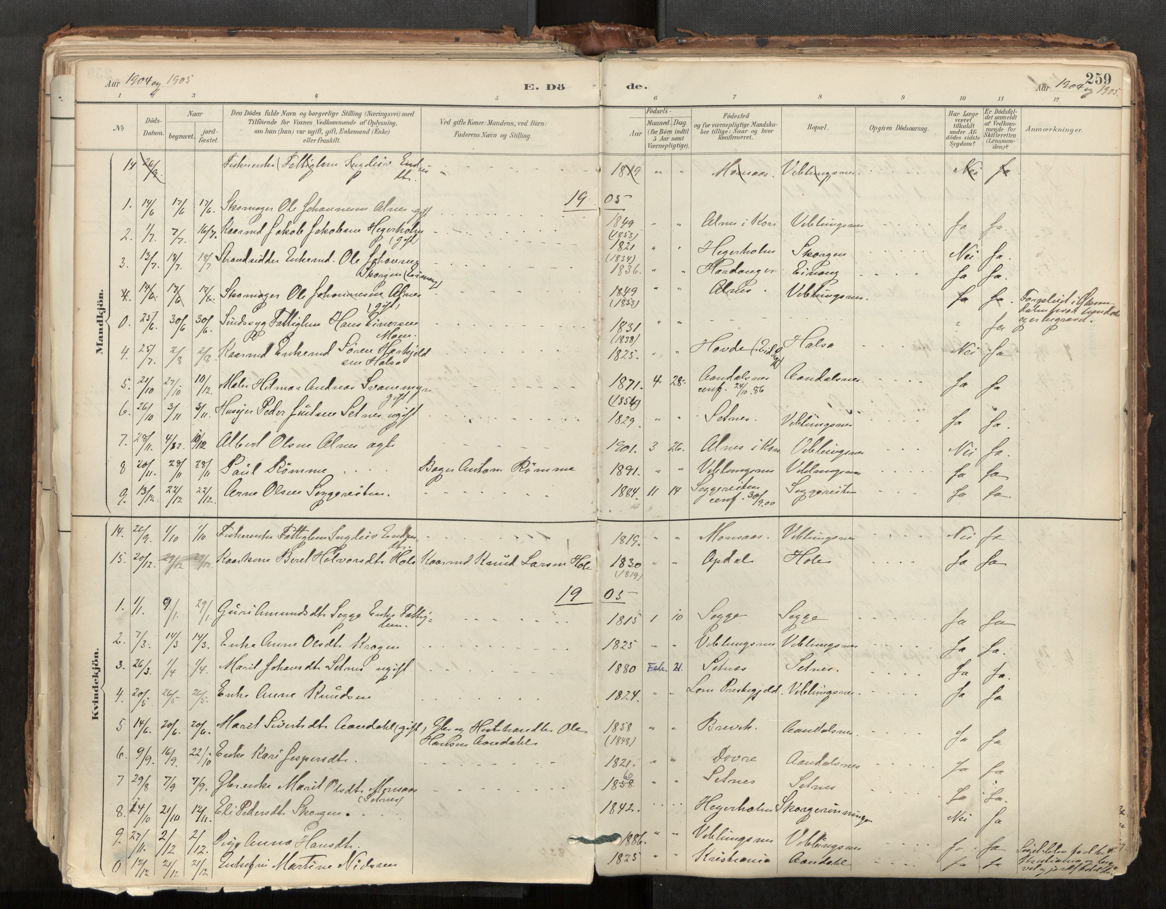 Ministerialprotokoller, klokkerbøker og fødselsregistre - Møre og Romsdal, AV/SAT-A-1454/544/L0585: Parish register (official) no. 544A06, 1887-1924, p. 259