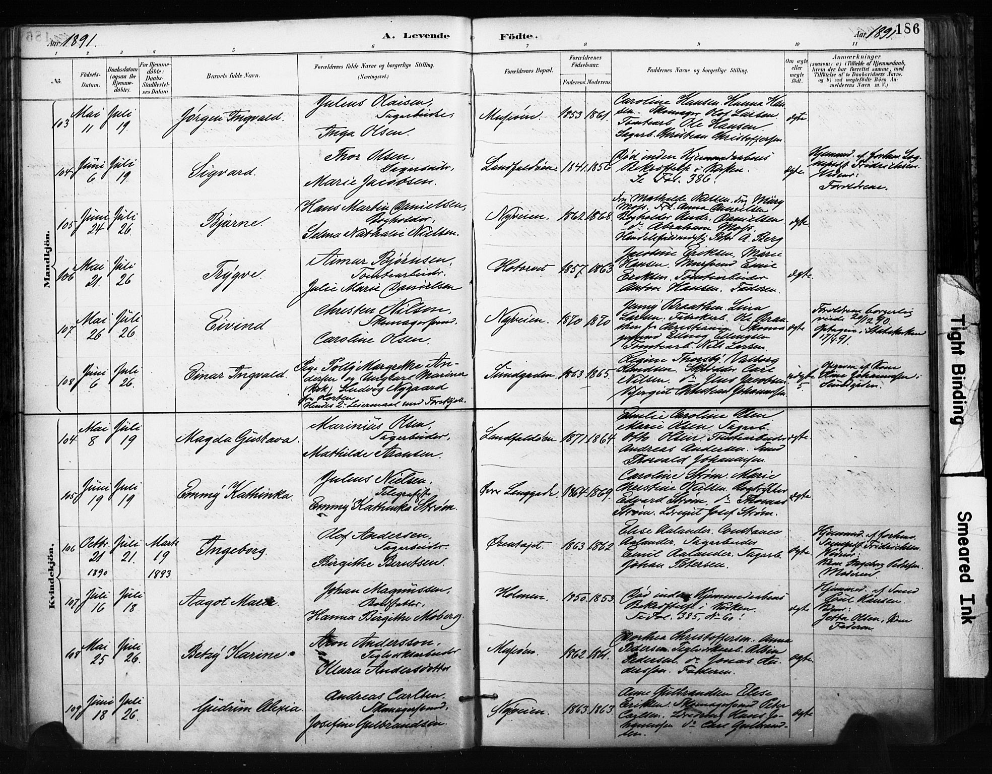 Bragernes kirkebøker, AV/SAKO-A-6/F/Fb/L0007: Parish register (official) no. II 7, 1885-1893, p. 186