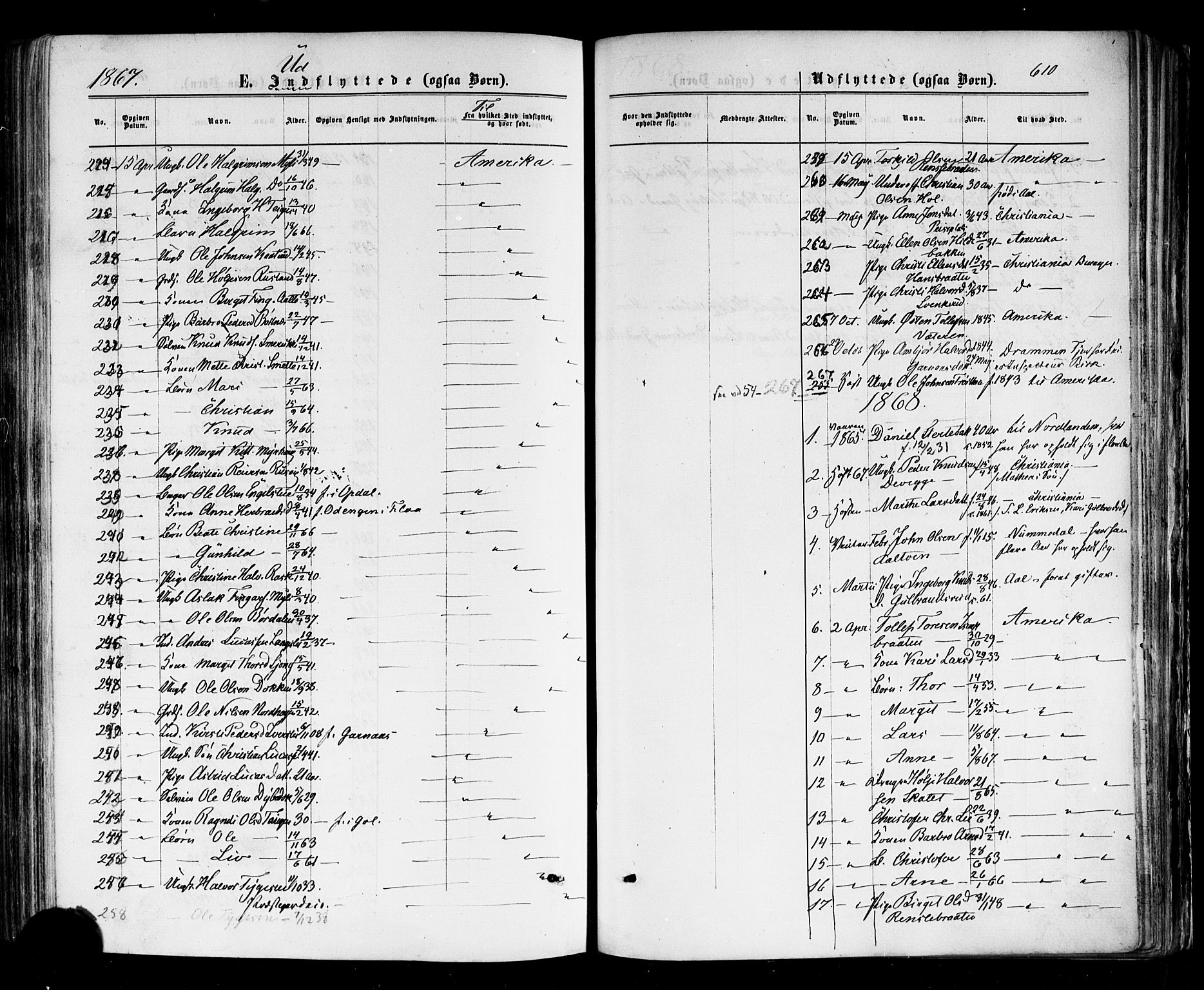 Nes kirkebøker, SAKO/A-236/F/Fa/L0010: Parish register (official) no. 10, 1864-1880, p. 610