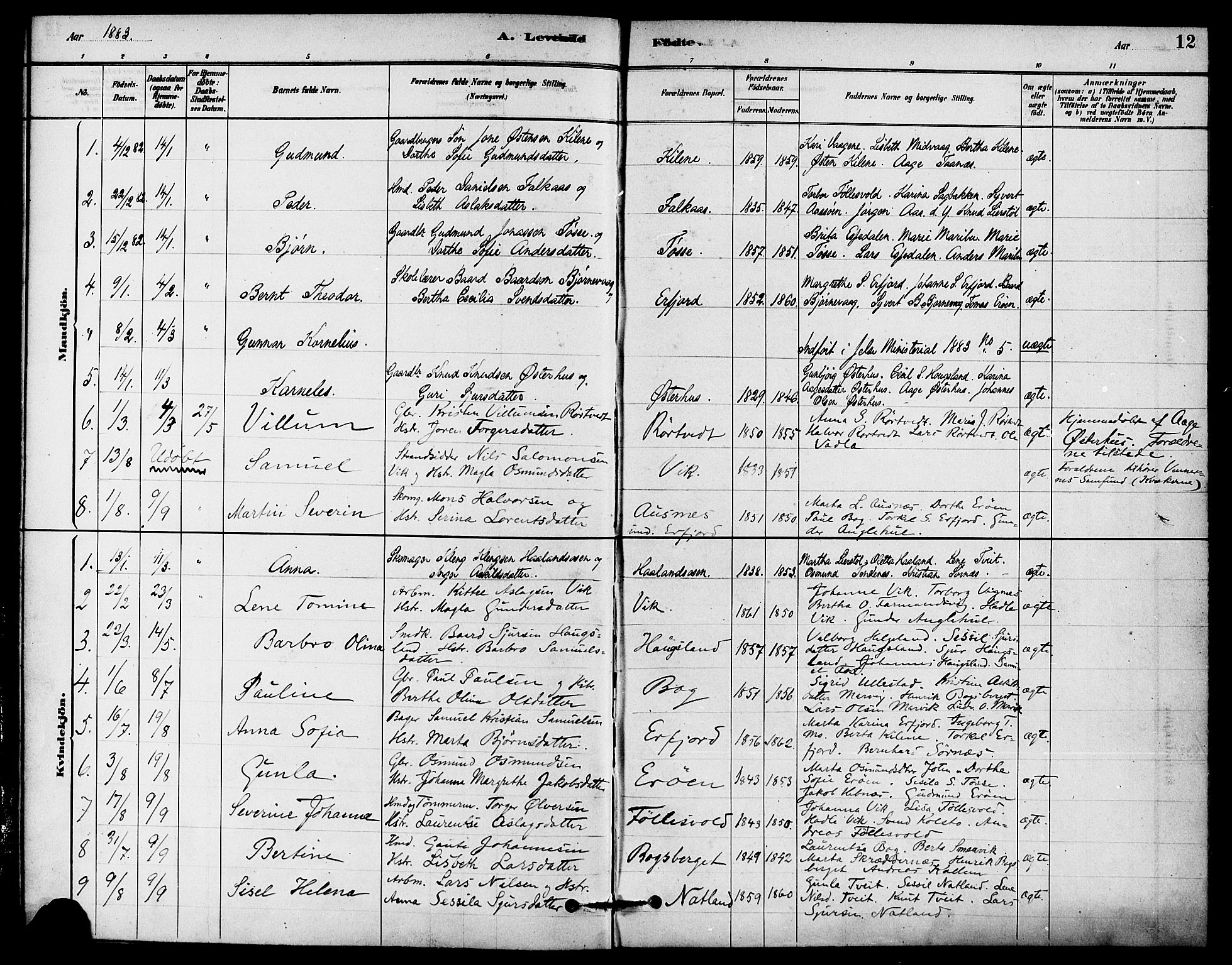 Jelsa sokneprestkontor, SAST/A-101842/01/IV: Parish register (official) no. A 9, 1878-1898, p. 12