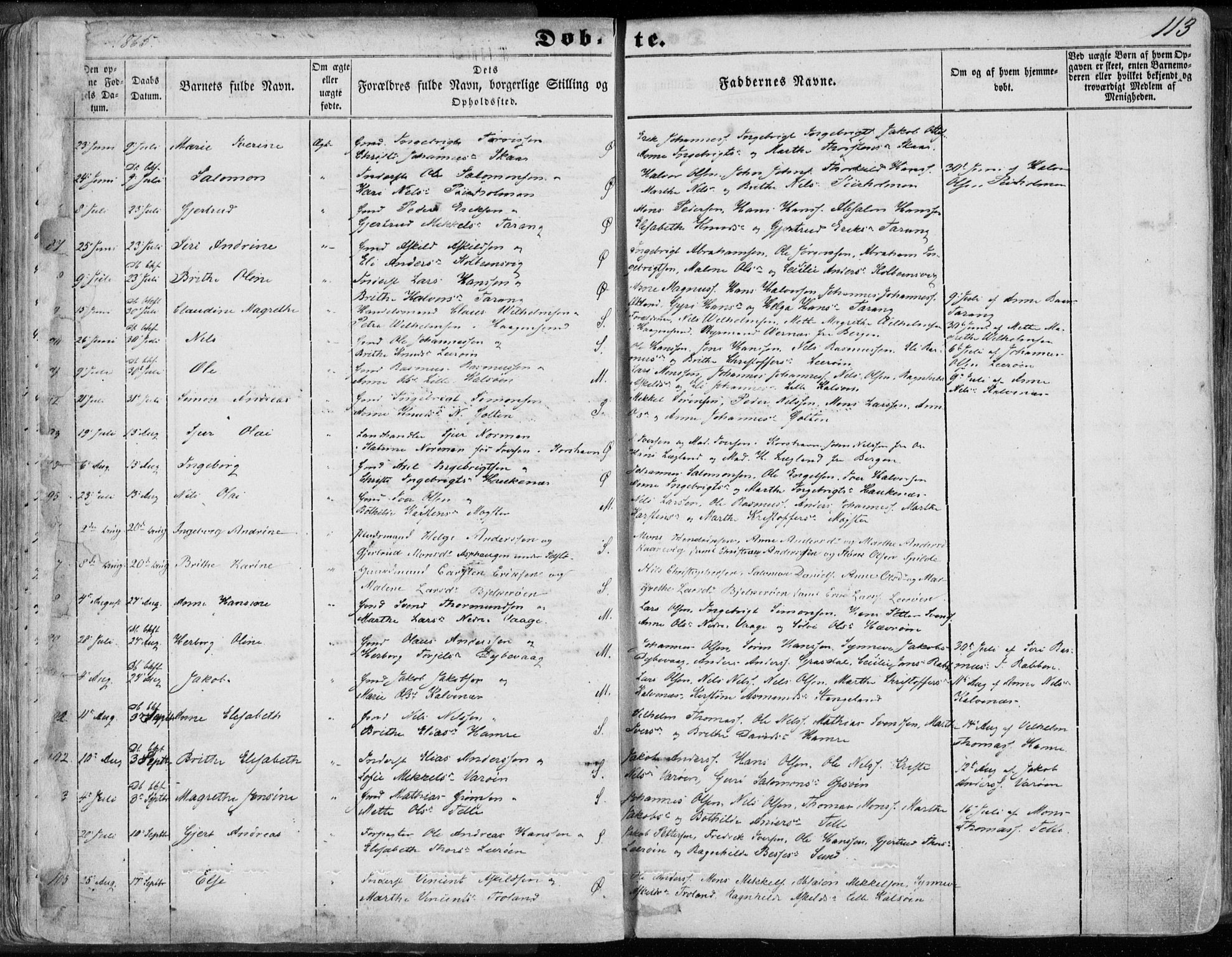 Sund sokneprestembete, AV/SAB-A-99930: Parish register (official) no. A 14, 1850-1866, p. 113