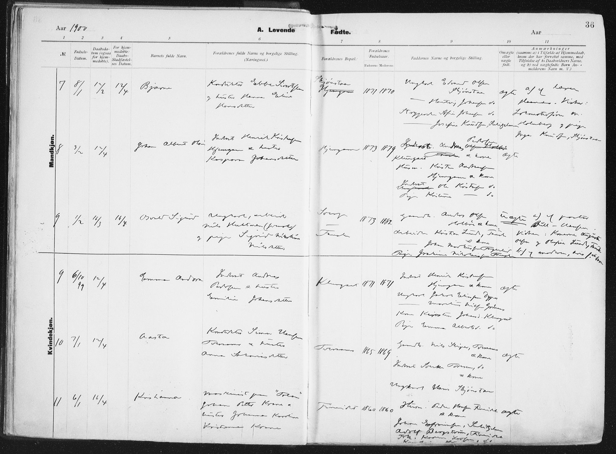 Ministerialprotokoller, klokkerbøker og fødselsregistre - Nordland, AV/SAT-A-1459/849/L0696: Parish register (official) no. 849A08, 1898-1910, p. 36