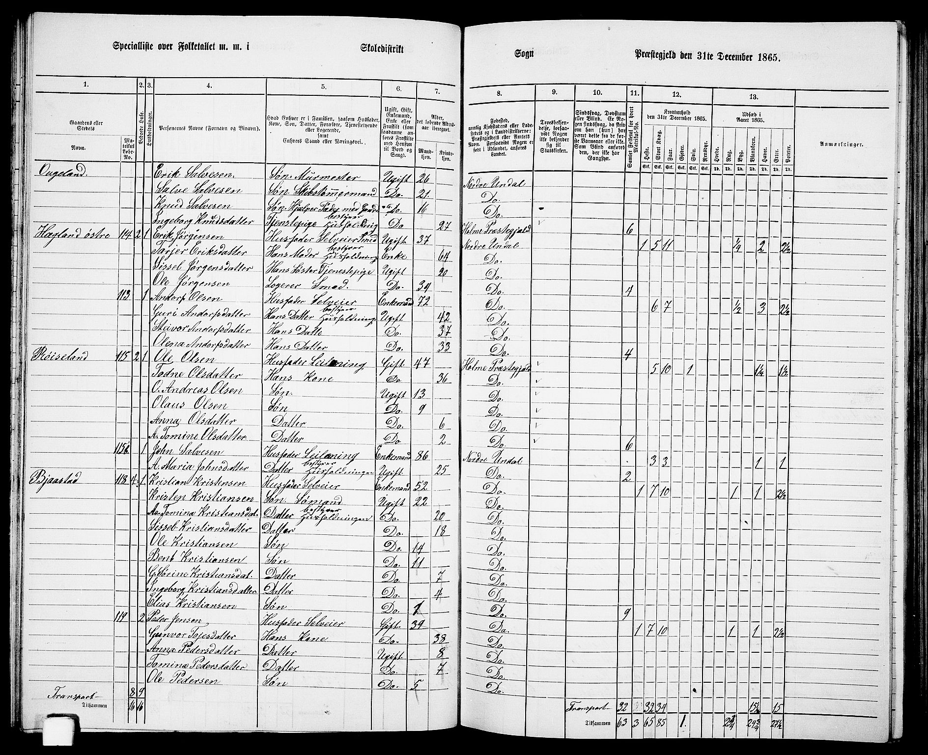 RA, 1865 census for Nord-Audnedal, 1865, p. 30