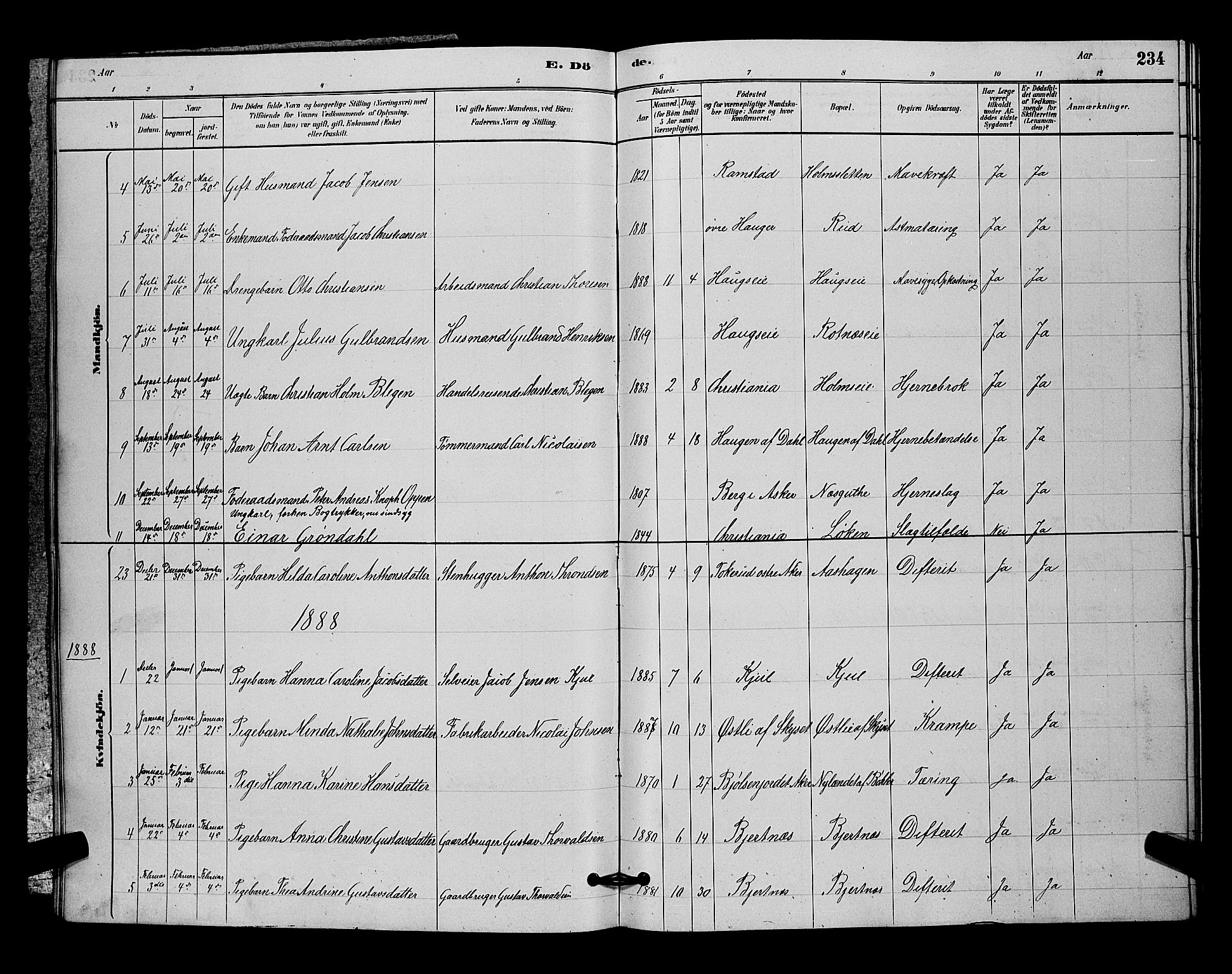 Nittedal prestekontor Kirkebøker, SAO/A-10365a/G/Ga/L0002: Parish register (copy) no. I 2, 1879-1901, p. 234
