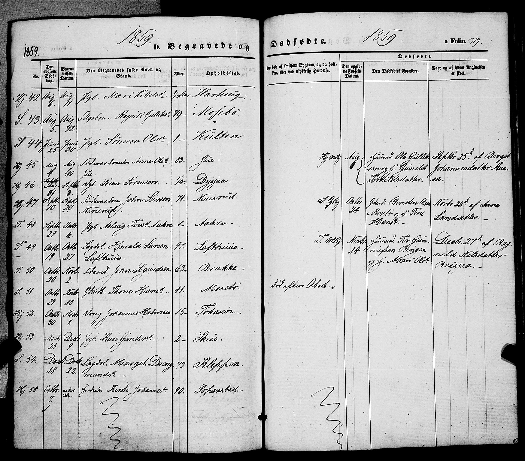 Hjartdal kirkebøker, AV/SAKO-A-270/F/Fa/L0008: Parish register (official) no. I 8, 1844-1859, p. 319