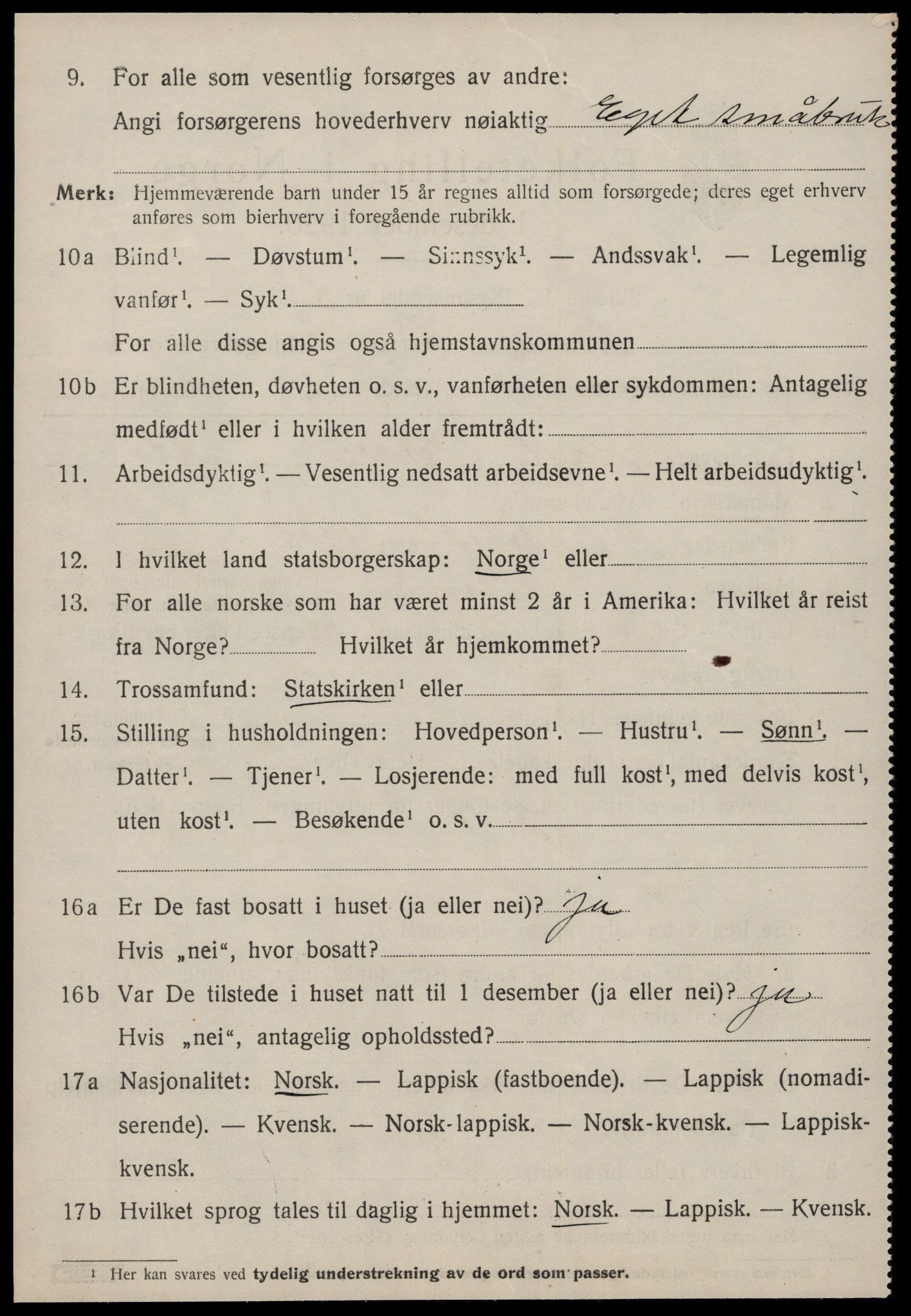 SAT, 1920 census for Heim, 1920, p. 3164