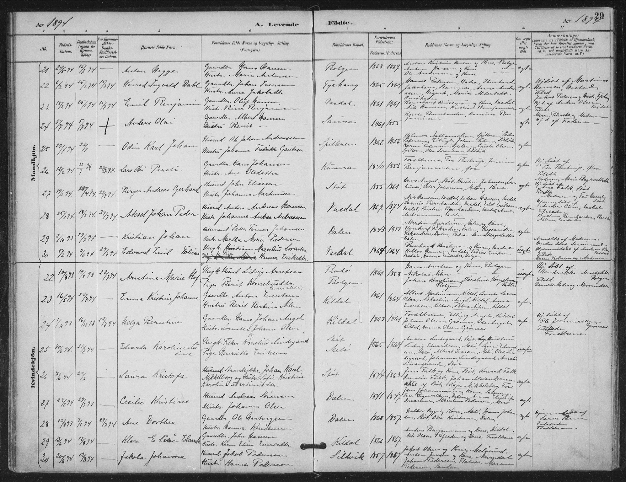 Ministerialprotokoller, klokkerbøker og fødselsregistre - Nordland, SAT/A-1459/843/L0628: Parish register (official) no. 843A03, 1889-1907, p. 29