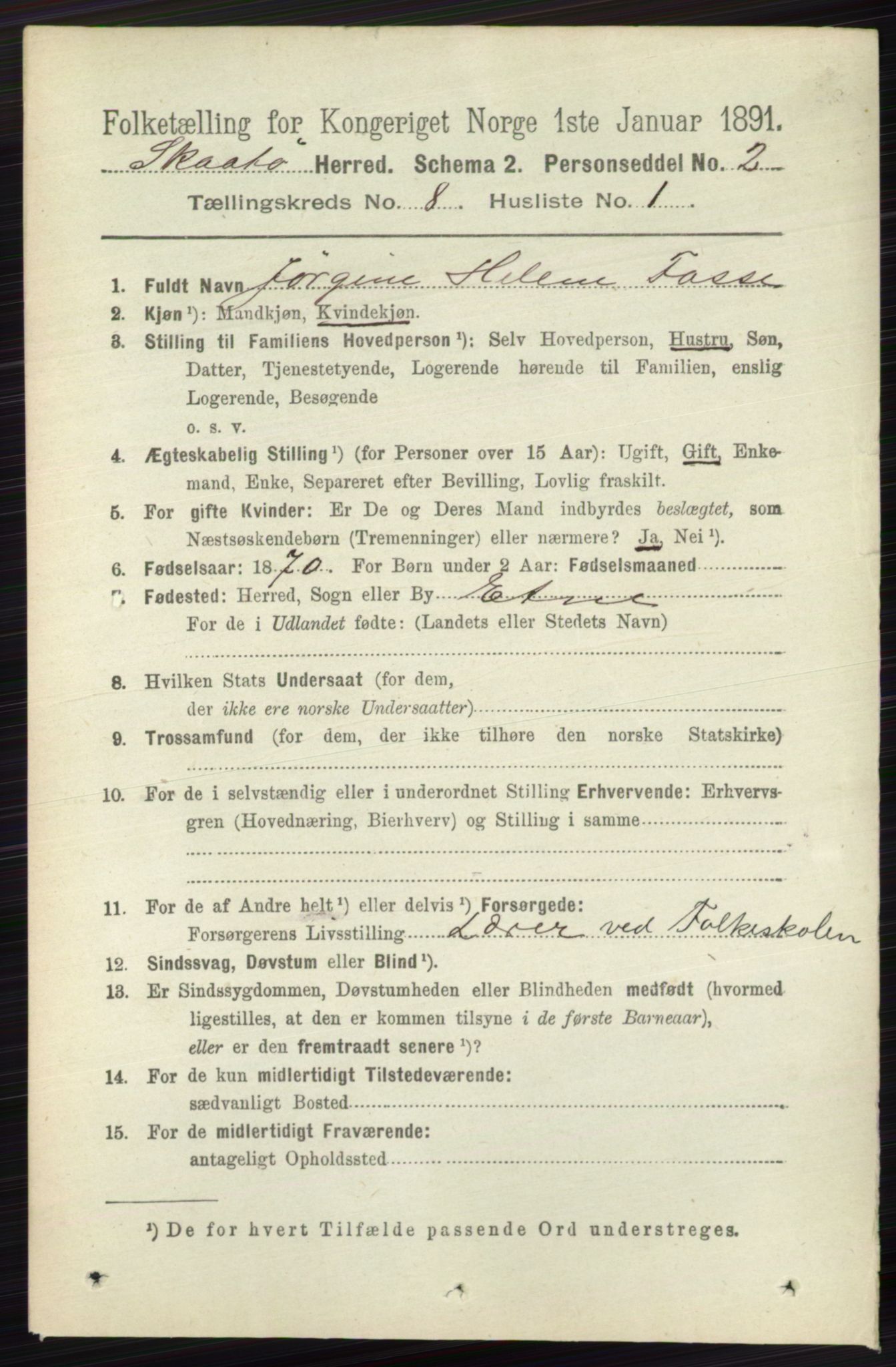 RA, 1891 census for 0815 Skåtøy, 1891, p. 3532