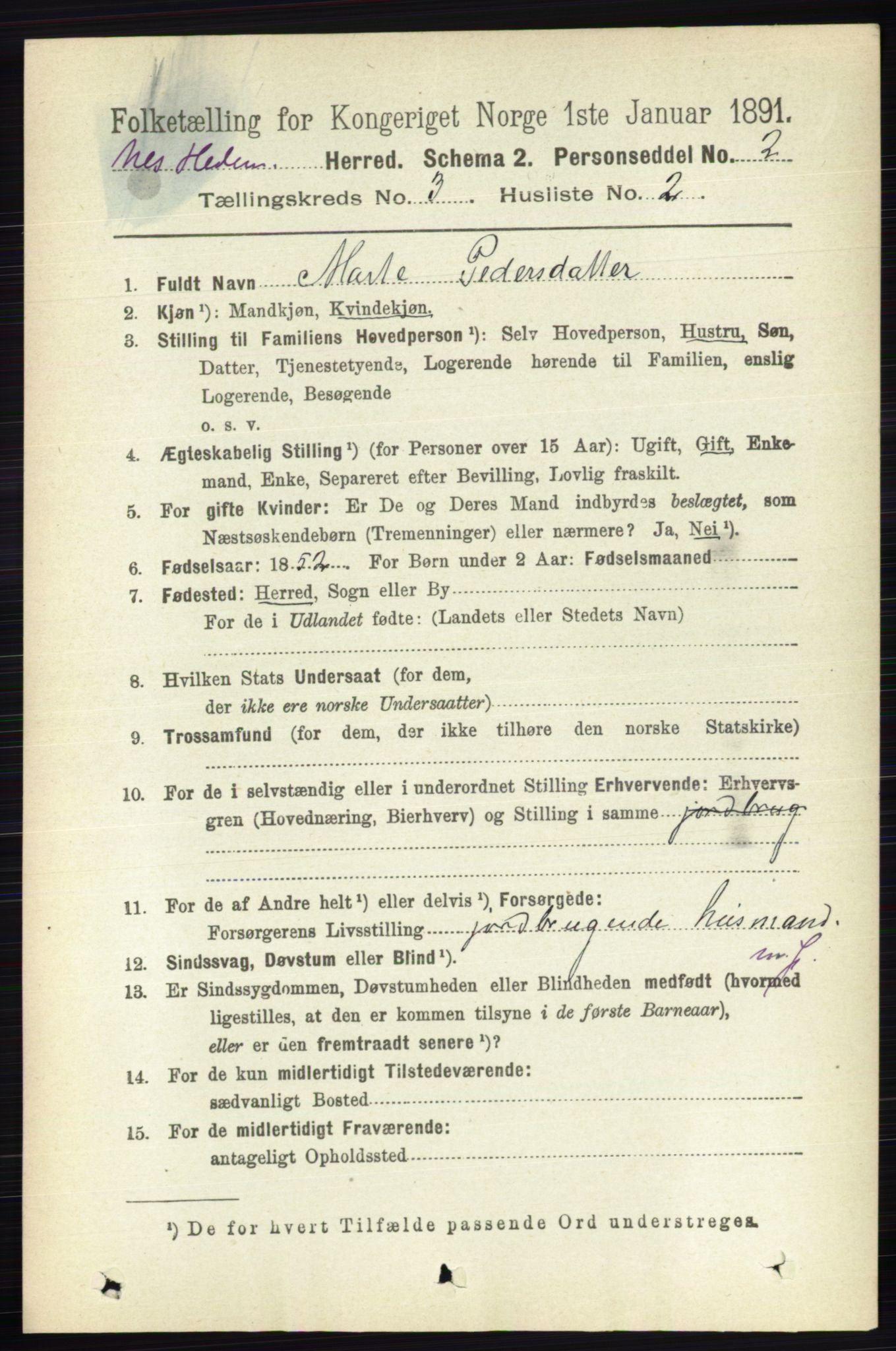 RA, 1891 census for 0411 Nes, 1891, p. 1601