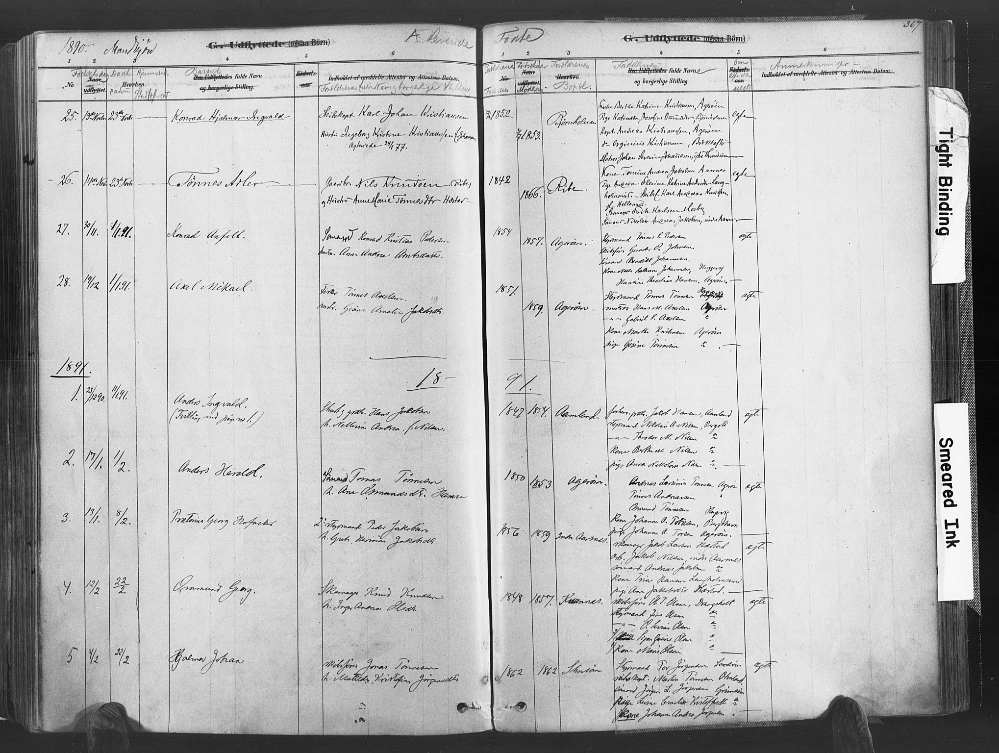 Høvåg sokneprestkontor, AV/SAK-1111-0025/F/Fa/L0005: Parish register (official) no. A 5, 1878-1893, p. 367