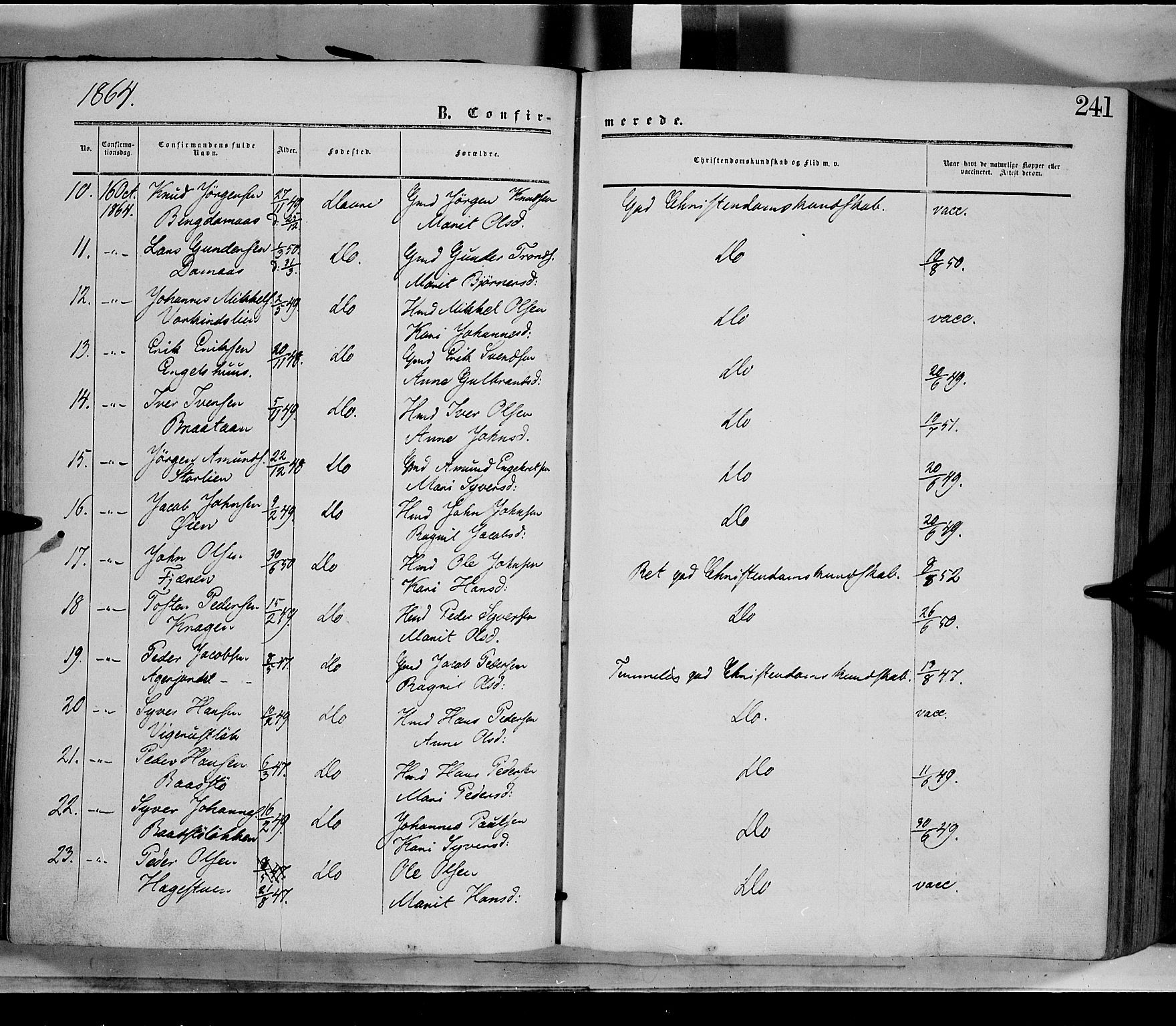 Dovre prestekontor, AV/SAH-PREST-066/H/Ha/Haa/L0001: Parish register (official) no. 1, 1854-1878, p. 241