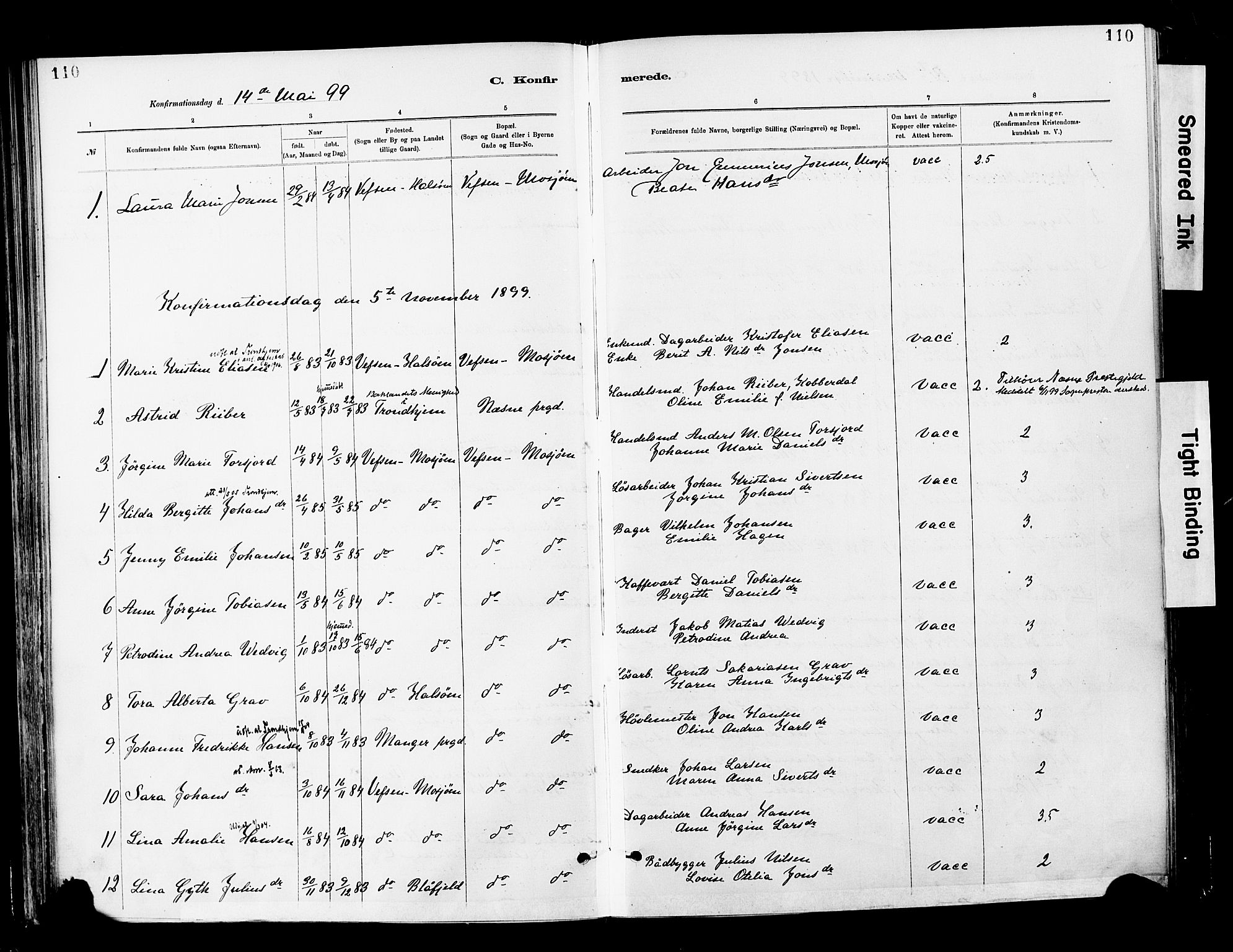 Ministerialprotokoller, klokkerbøker og fødselsregistre - Nordland, AV/SAT-A-1459/820/L0296: Parish register (official) no. 820A17, 1880-1903, p. 110