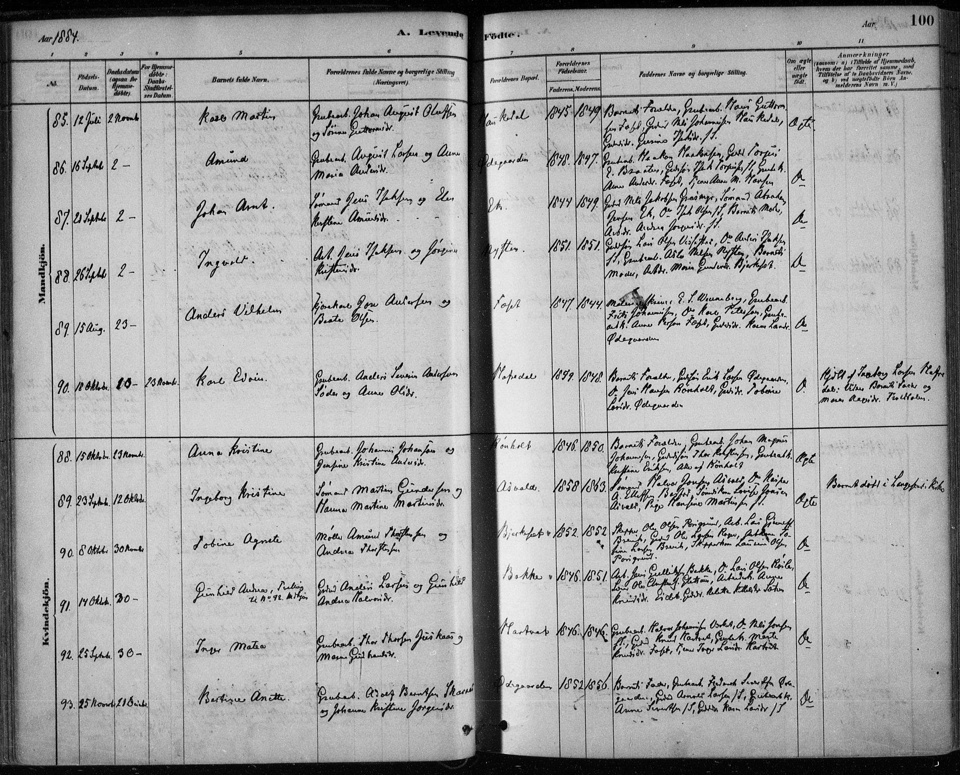 Bamble kirkebøker, SAKO/A-253/F/Fa/L0007: Parish register (official) no. I 7, 1878-1888, p. 100