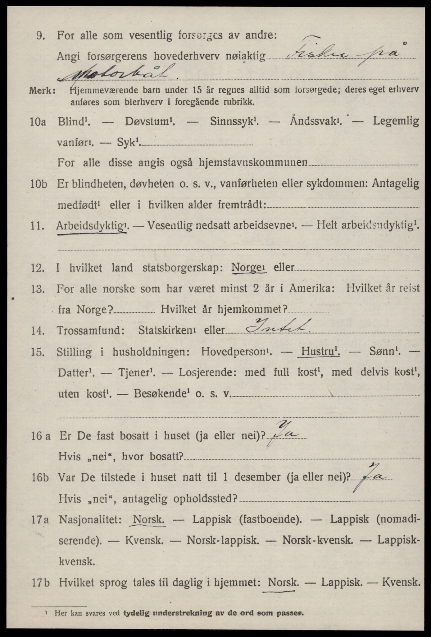 SAT, 1920 census for Nes (ST), 1920, p. 1496