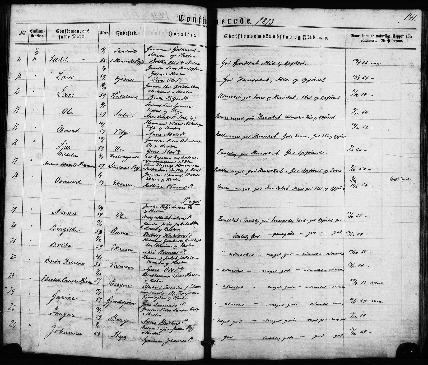 Etne sokneprestembete, SAB/A-75001/H/Haa: Parish register (official) no. A 9, 1862-1878, p. 141