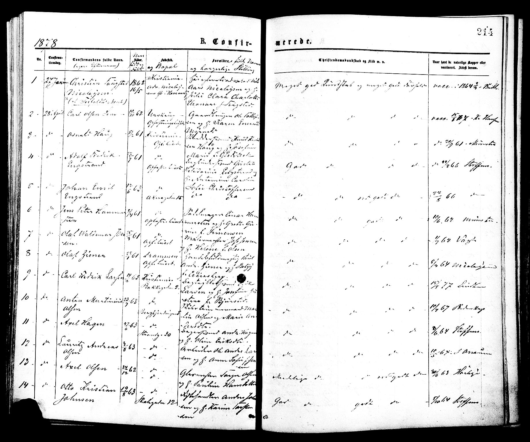 Johannes prestekontor Kirkebøker, AV/SAO-A-10852/F/Fa/L0001: Parish register (official) no. 1, 1875-1881, p. 214