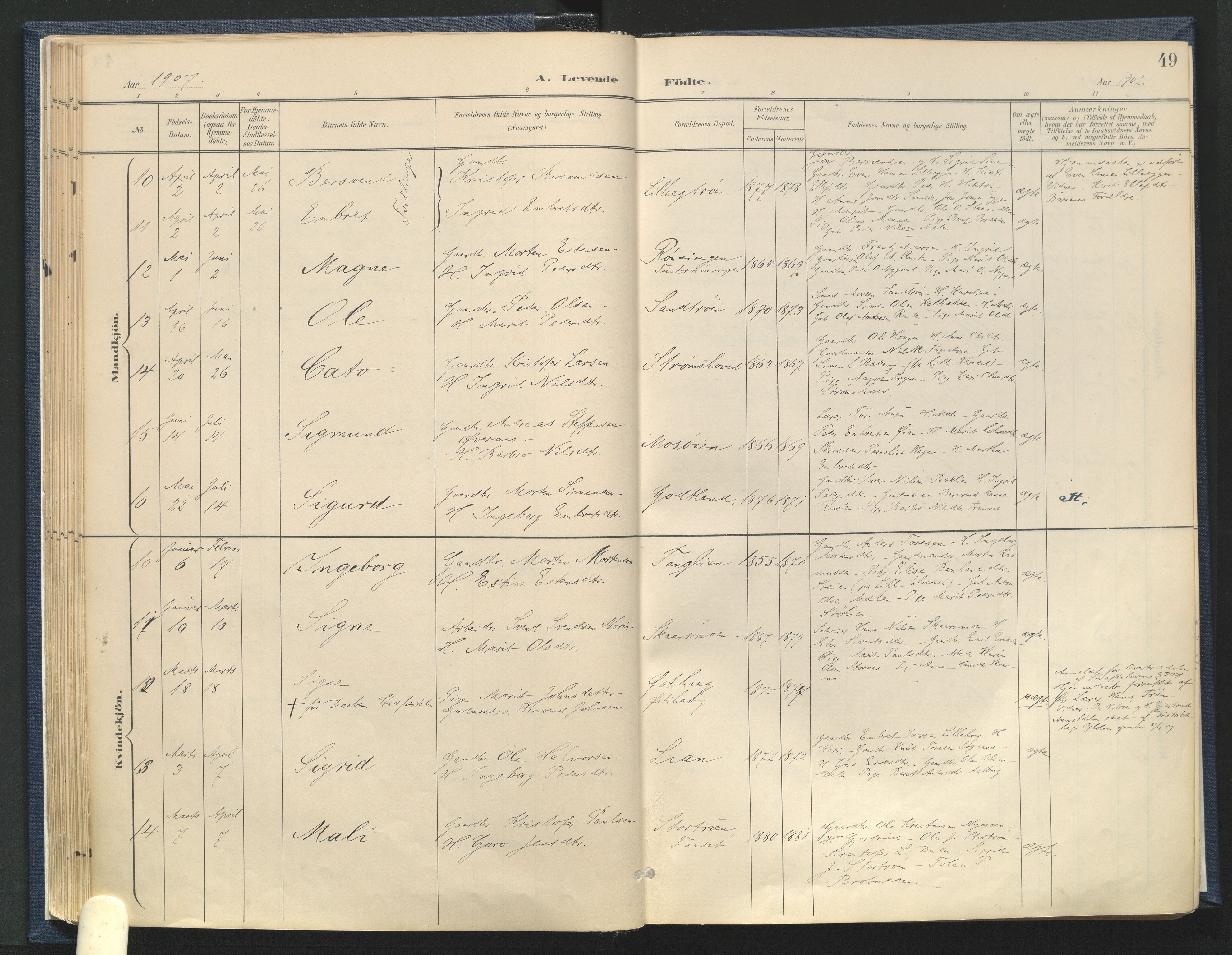 Tynset prestekontor, AV/SAH-PREST-058/H/Ha/Haa/L0025: Parish register (official) no. 25, 1900-1914, p. 49