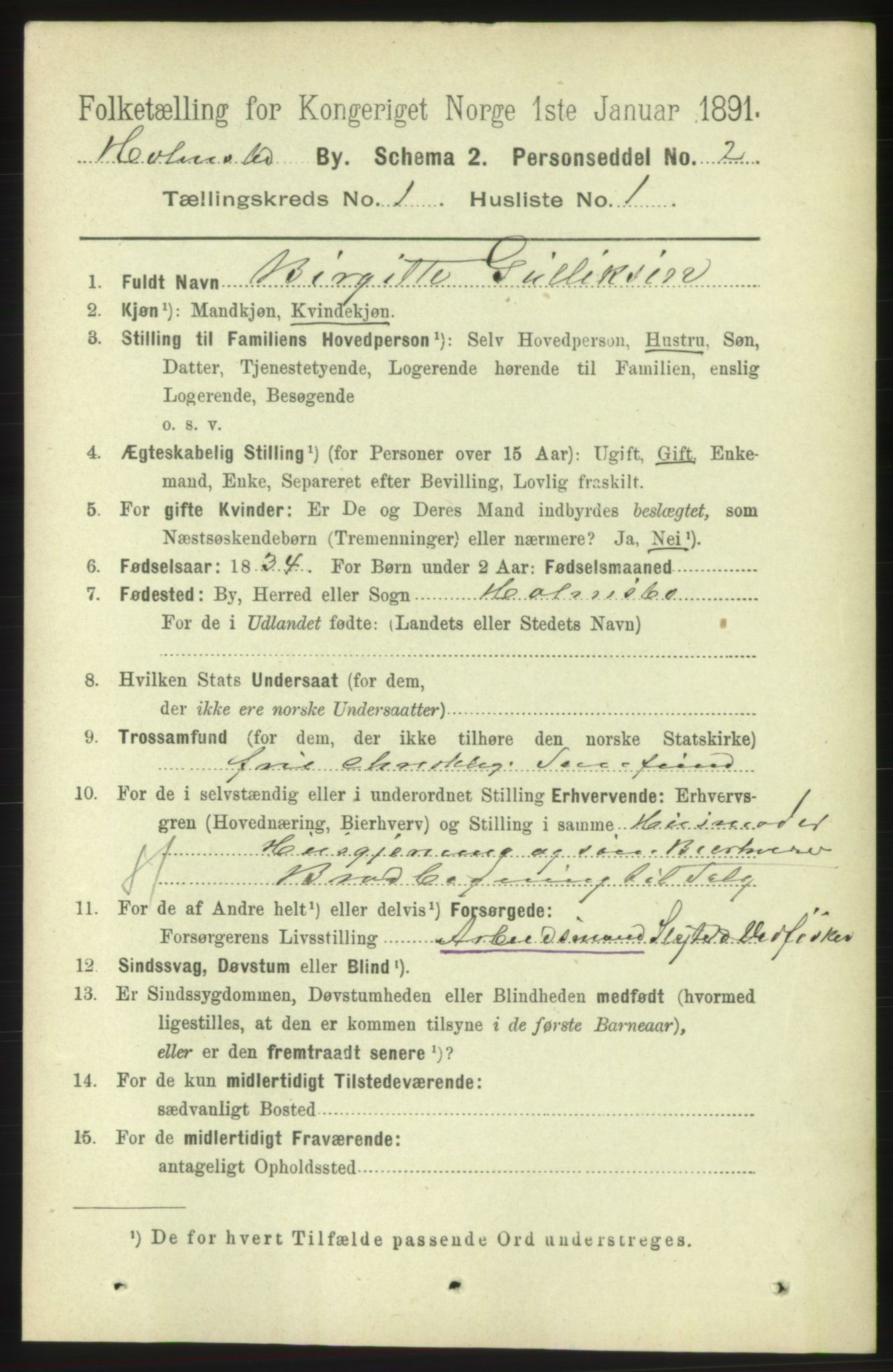 RA, 1891 census for 0603 Holmsbu, 1891, p. 207