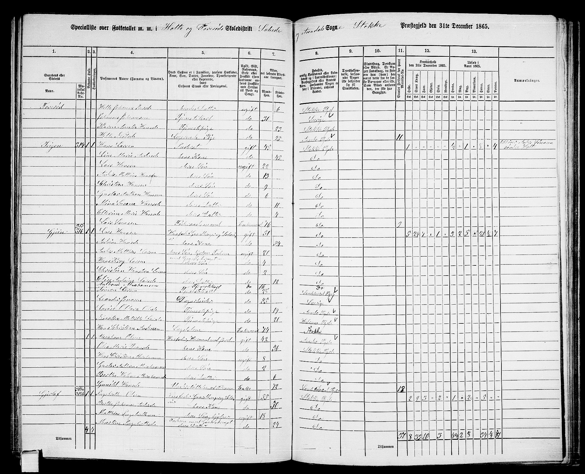 RA, 1865 census for Stokke, 1865, p. 160