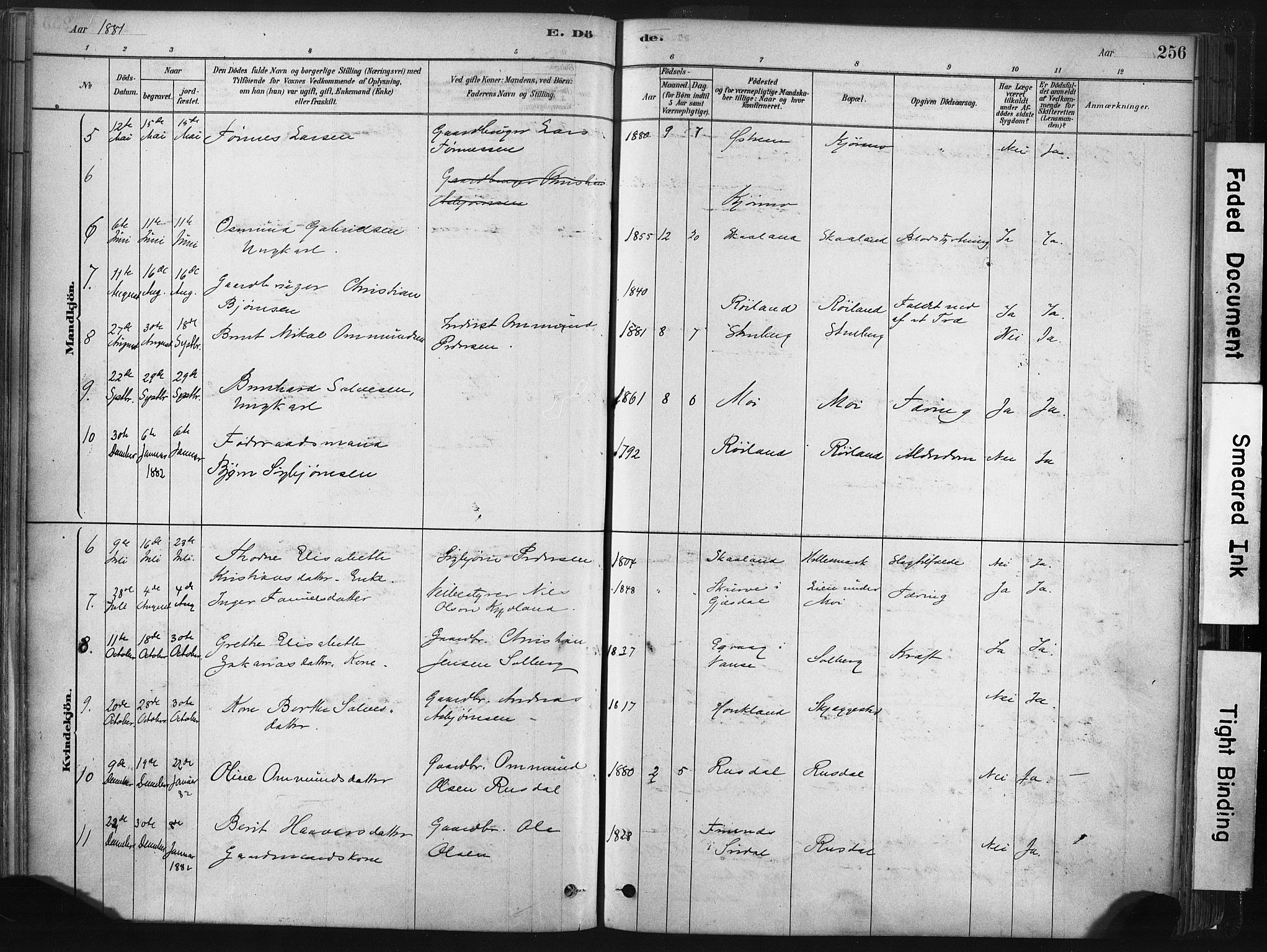 Lund sokneprestkontor, SAST/A-101809/S06/L0011: Parish register (official) no. A 10, 1877-1904, p. 256