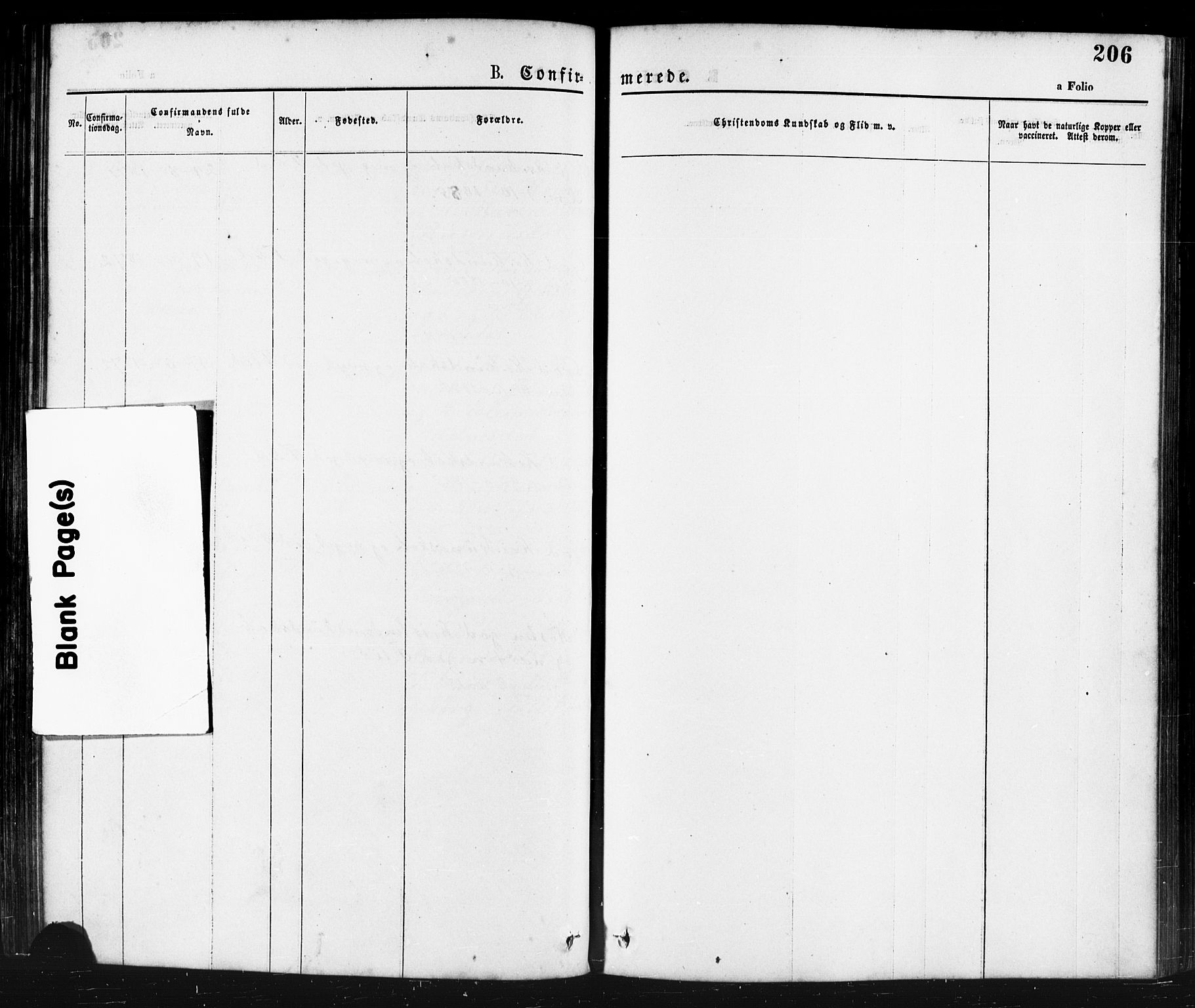 Klepp sokneprestkontor, AV/SAST-A-101803/001/3/30BA/L0006: Parish register (official) no. A 6, 1871-1885, p. 206