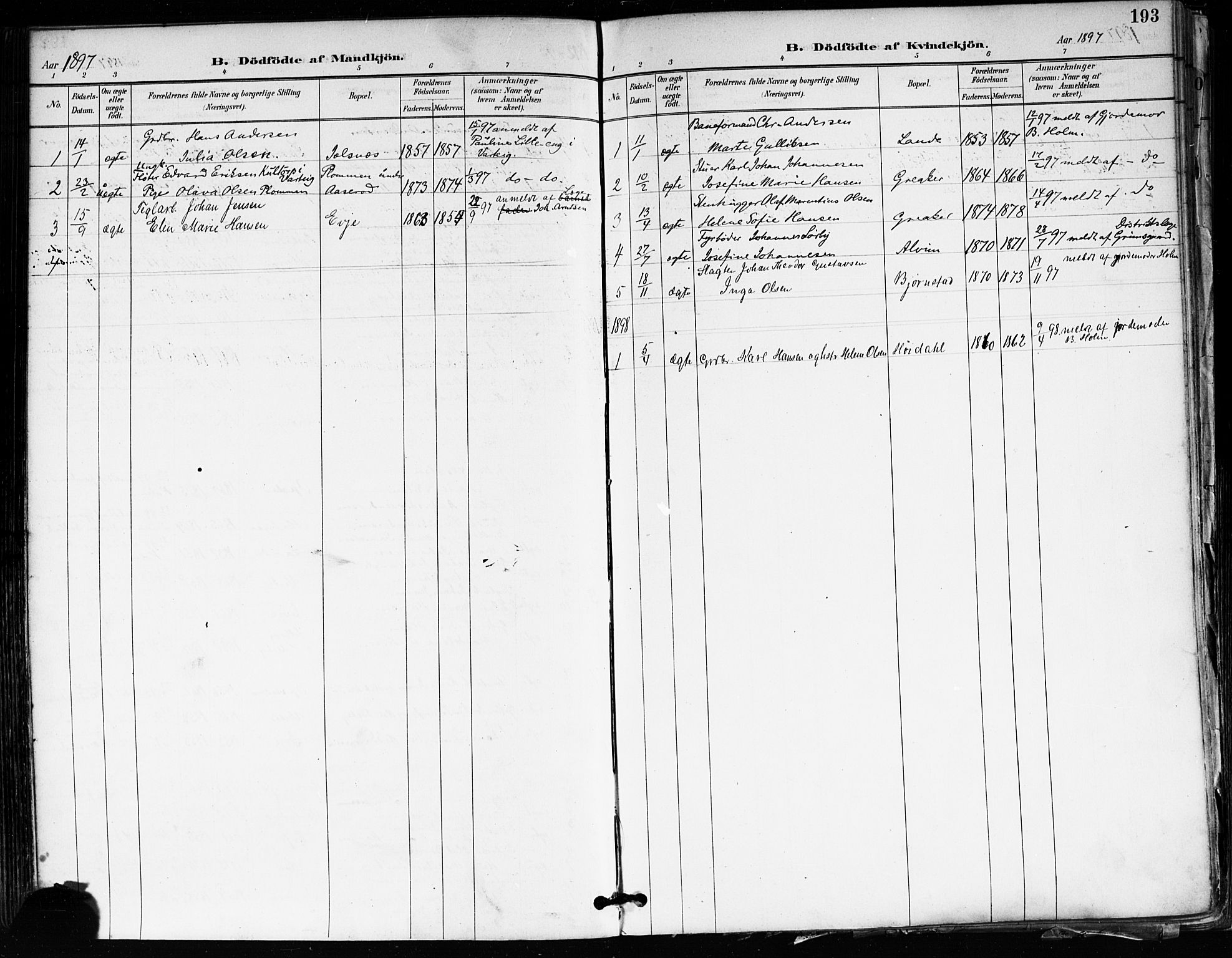 Tune prestekontor Kirkebøker, AV/SAO-A-2007/F/Fa/L0018: Parish register (official) no. 18, 1887-1898, p. 193