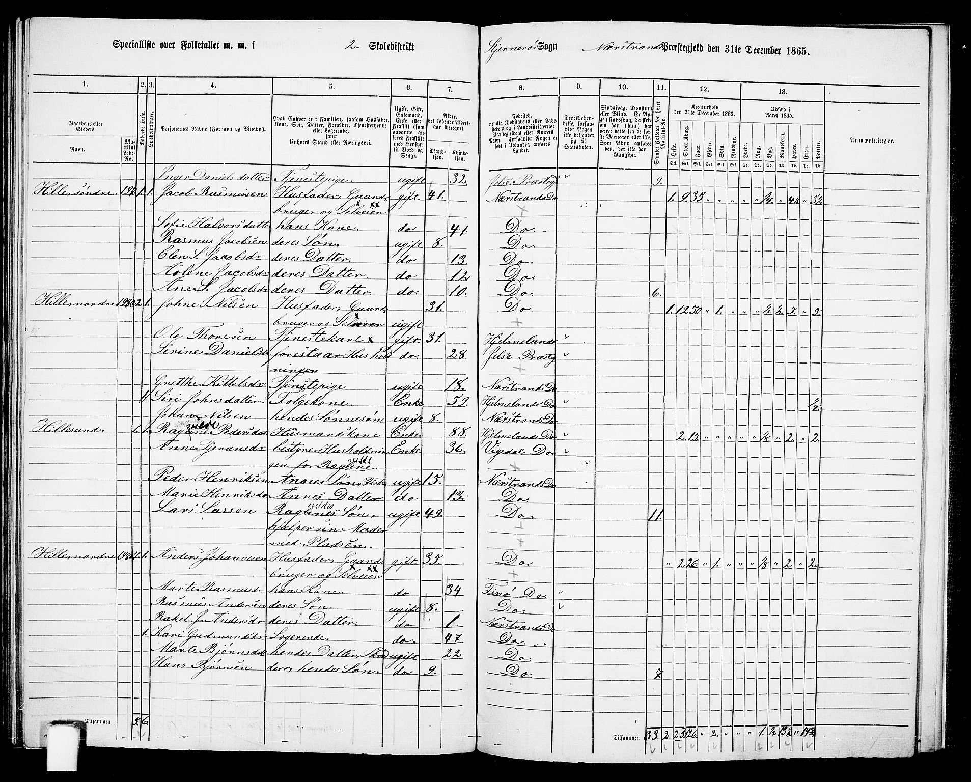 RA, 1865 census for Nedstrand, 1865, p. 96