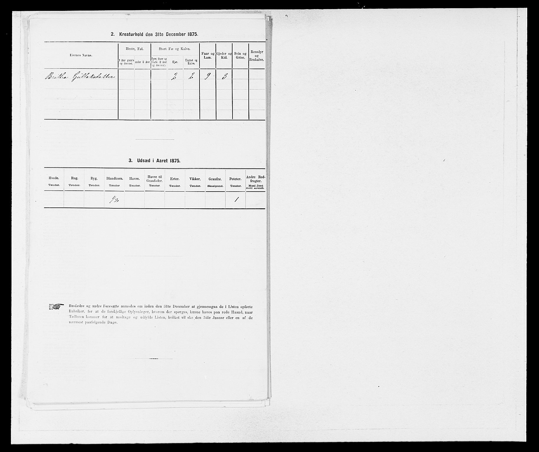 SAB, 1875 census for 1236P Vossestrand, 1875, p. 199