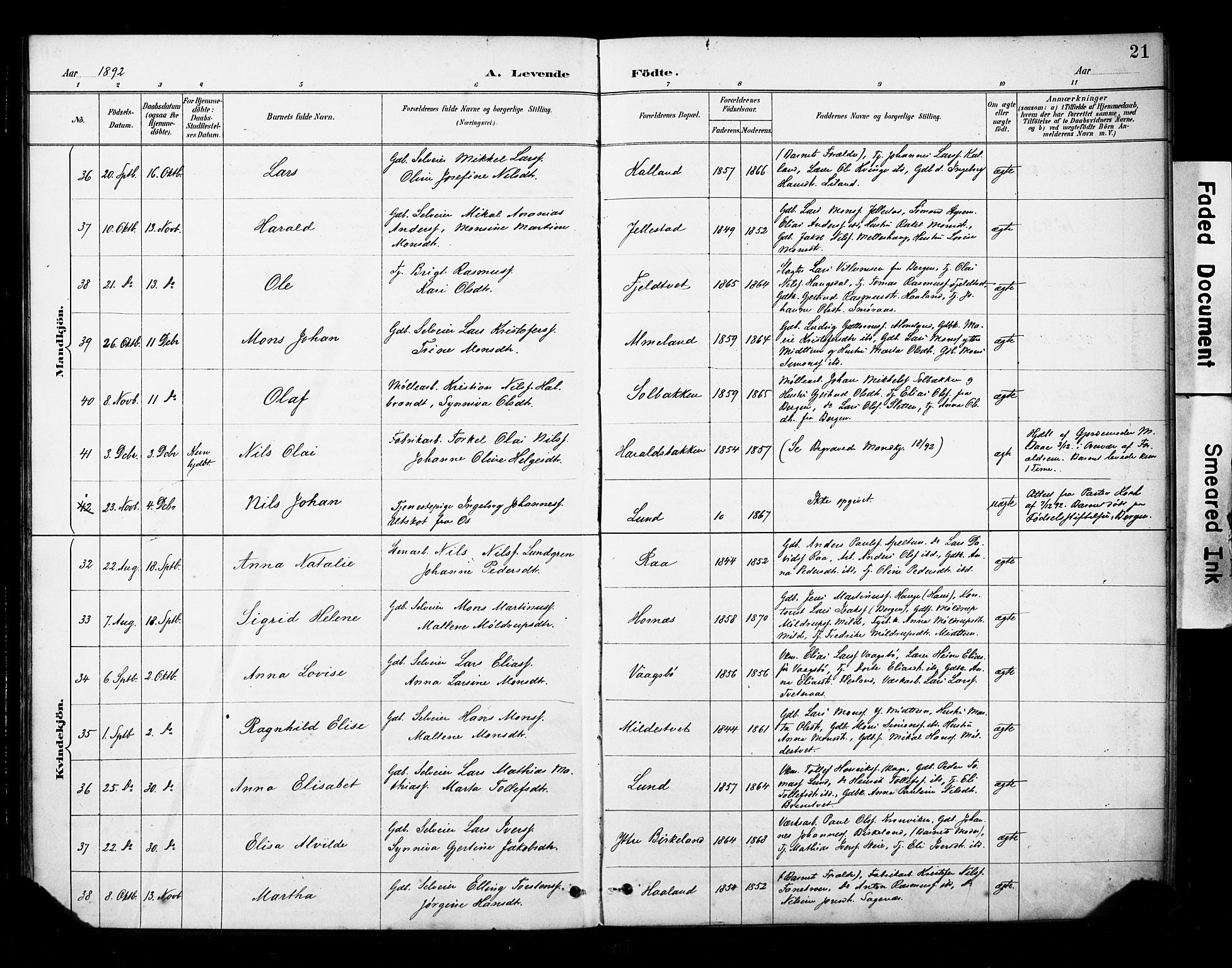 Fana Sokneprestembete, AV/SAB-A-75101/H/Haa/Haab/L0002: Parish register (official) no. B 2, 1890-1897, p. 21