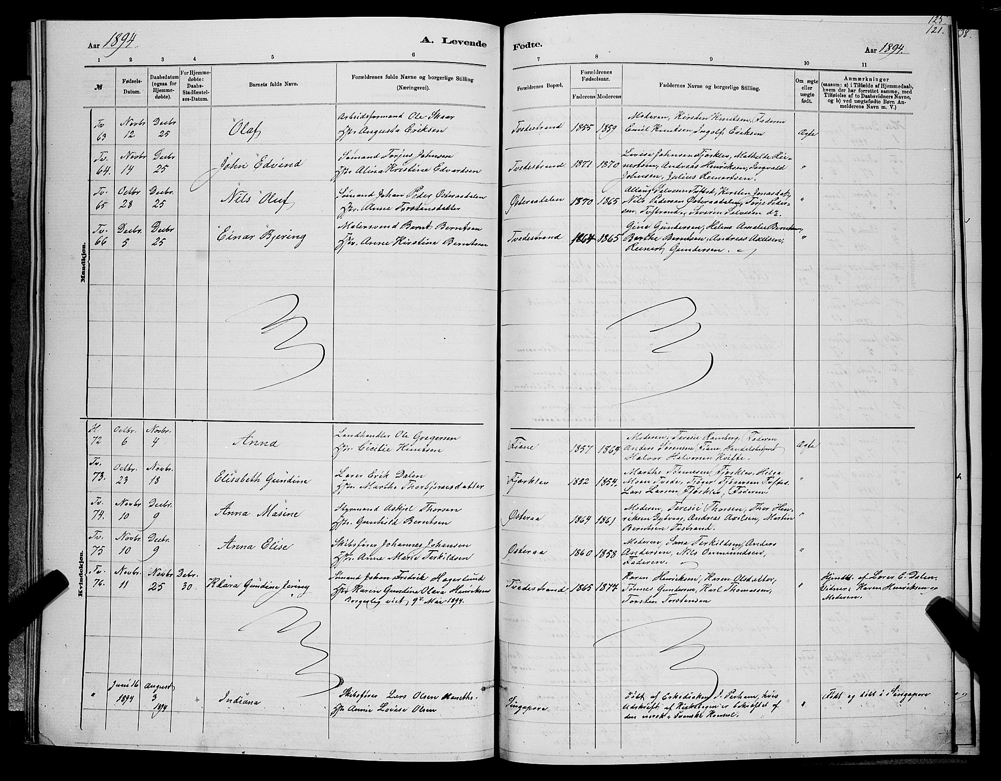 Holt sokneprestkontor, SAK/1111-0021/F/Fb/L0010: Parish register (copy) no. B 10, 1883-1896, p. 121