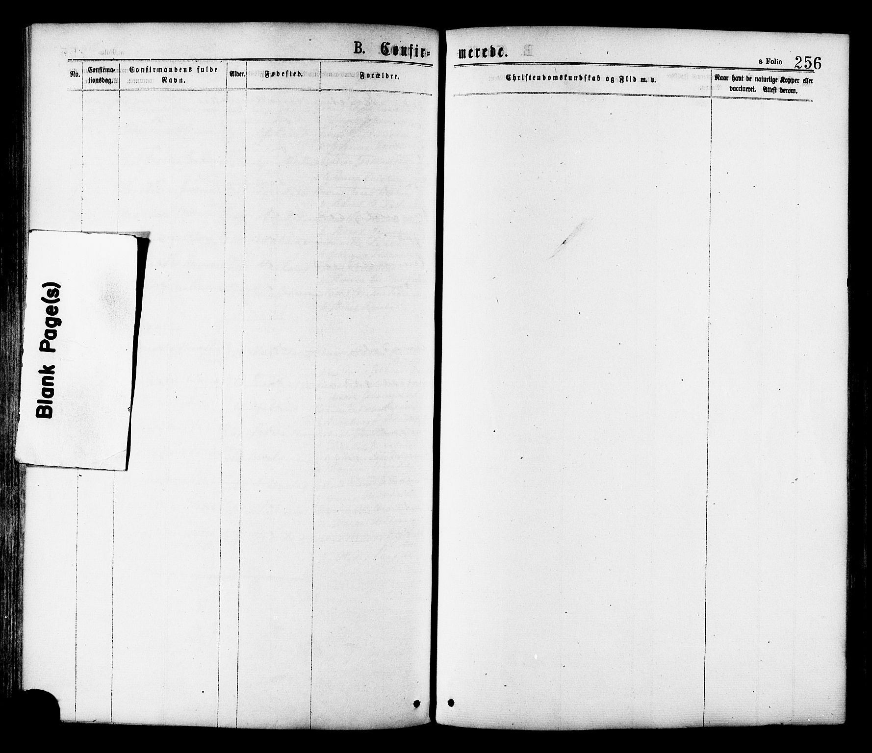 Ministerialprotokoller, klokkerbøker og fødselsregistre - Sør-Trøndelag, SAT/A-1456/646/L0613: Parish register (official) no. 646A11, 1870-1884, p. 256