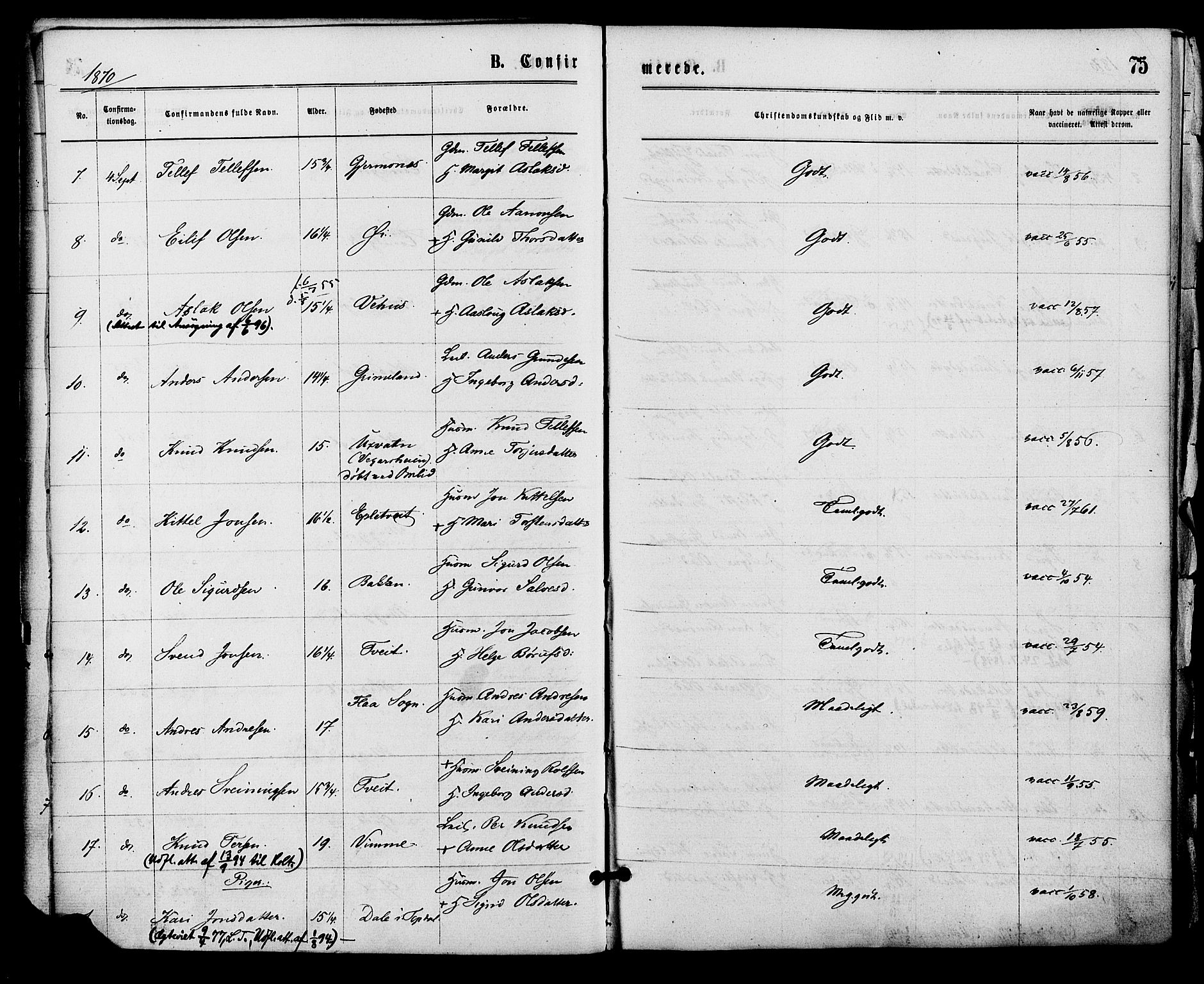 Åmli sokneprestkontor, AV/SAK-1111-0050/F/Fa/Fac/L0009: Parish register (official) no. A 9 /1, 1869-1884, p. 75