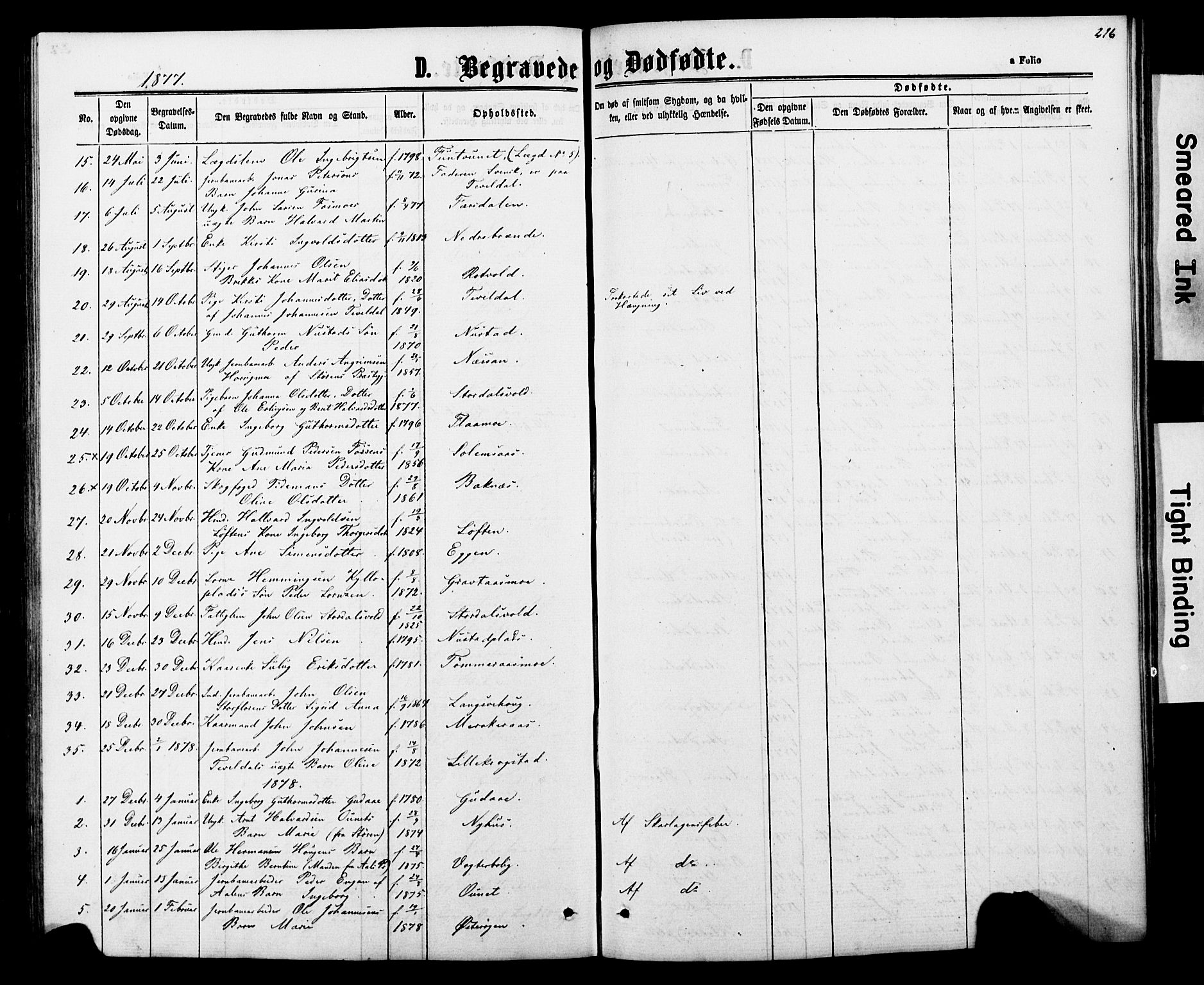 Ministerialprotokoller, klokkerbøker og fødselsregistre - Nord-Trøndelag, SAT/A-1458/706/L0049: Parish register (copy) no. 706C01, 1864-1895, p. 216