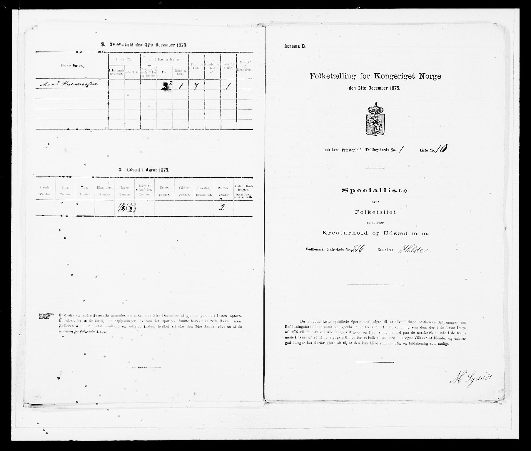 SAB, 1875 Census for 1447P Innvik, 1875, p. 41