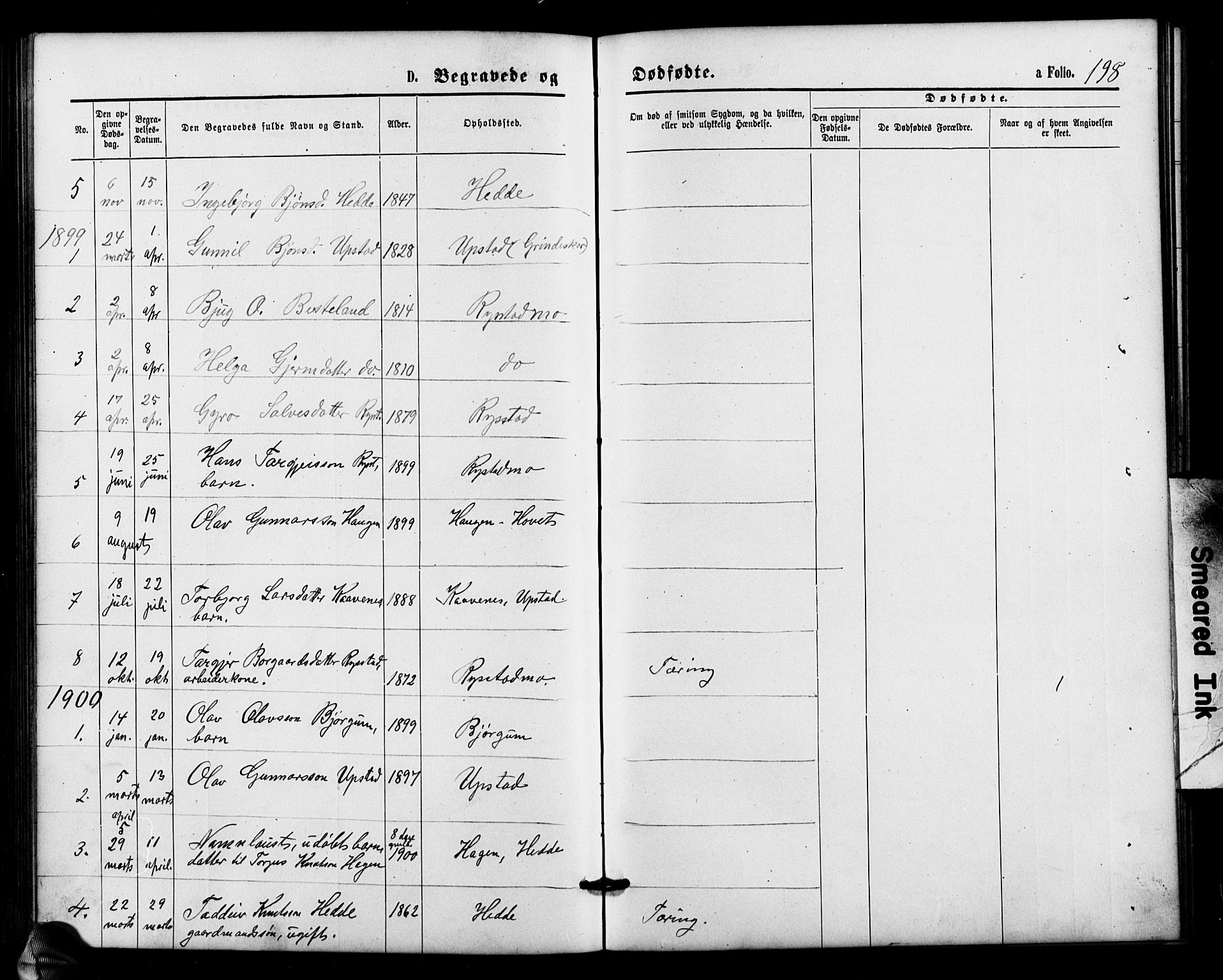Valle sokneprestkontor, AV/SAK-1111-0044/F/Fb/Fbb/L0002: Parish register (copy) no. B 2, 1875-1921, p. 198
