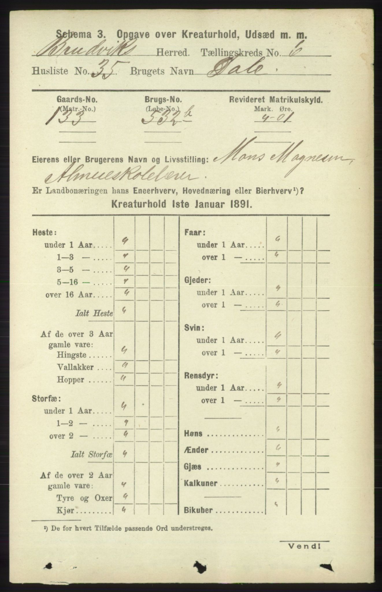 RA, 1891 census for 1251 Bruvik, 1891, p. 4626