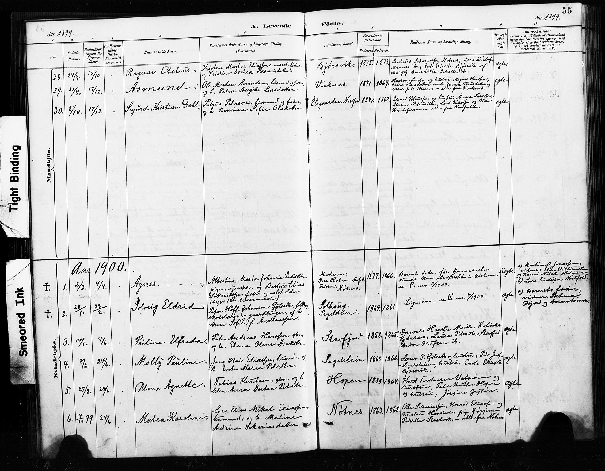 Ministerialprotokoller, klokkerbøker og fødselsregistre - Nordland, AV/SAT-A-1459/858/L0834: Parish register (copy) no. 858C01, 1884-1904, p. 55