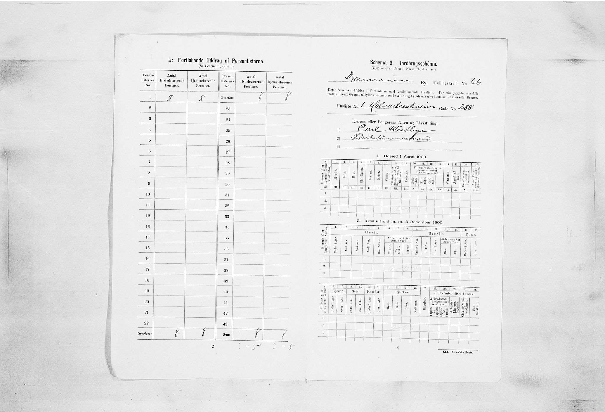 RA, 1900 census for Drammen, 1900, p. 11467