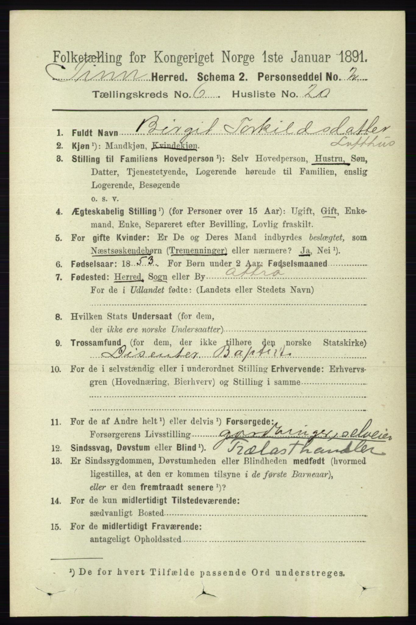 RA, 1891 census for 0826 Tinn, 1891, p. 1346