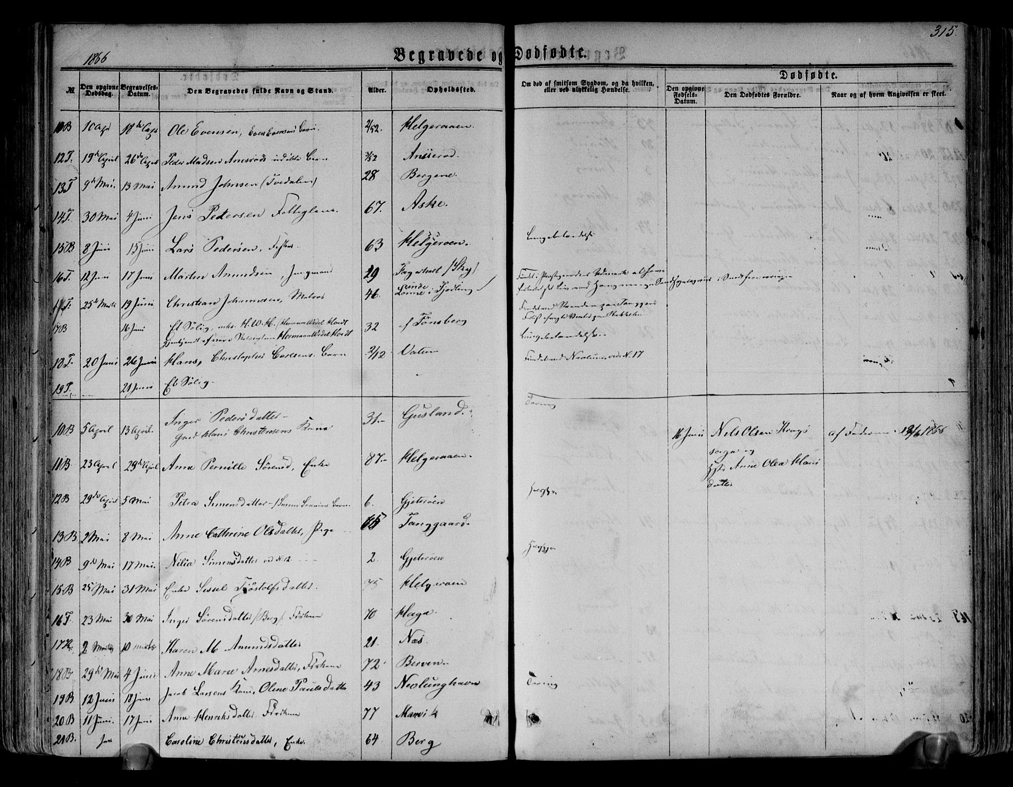 Brunlanes kirkebøker, AV/SAKO-A-342/F/Fa/L0005: Parish register (official) no. I 5, 1862-1877, p. 315