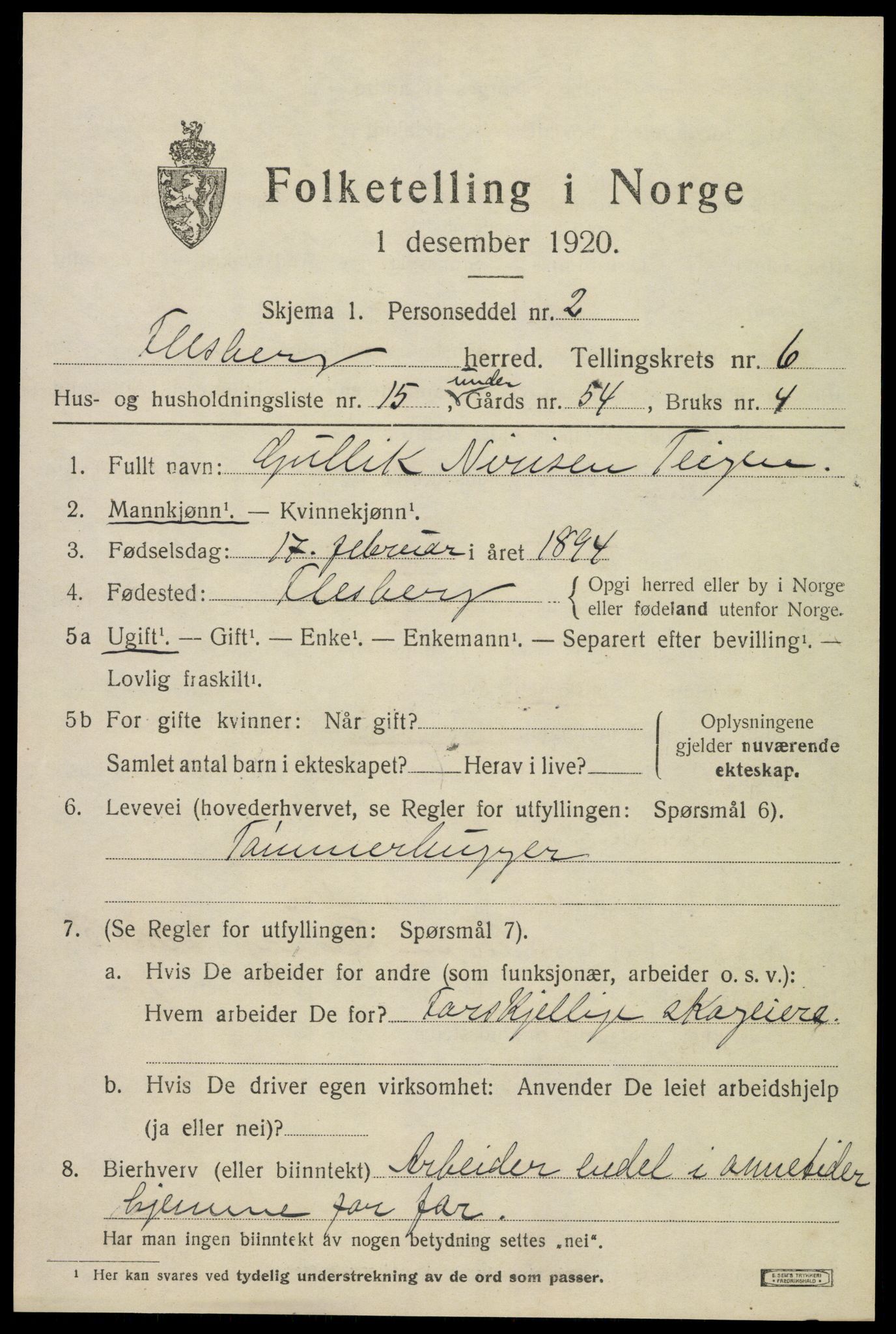 SAKO, 1920 census for Flesberg, 1920, p. 2733