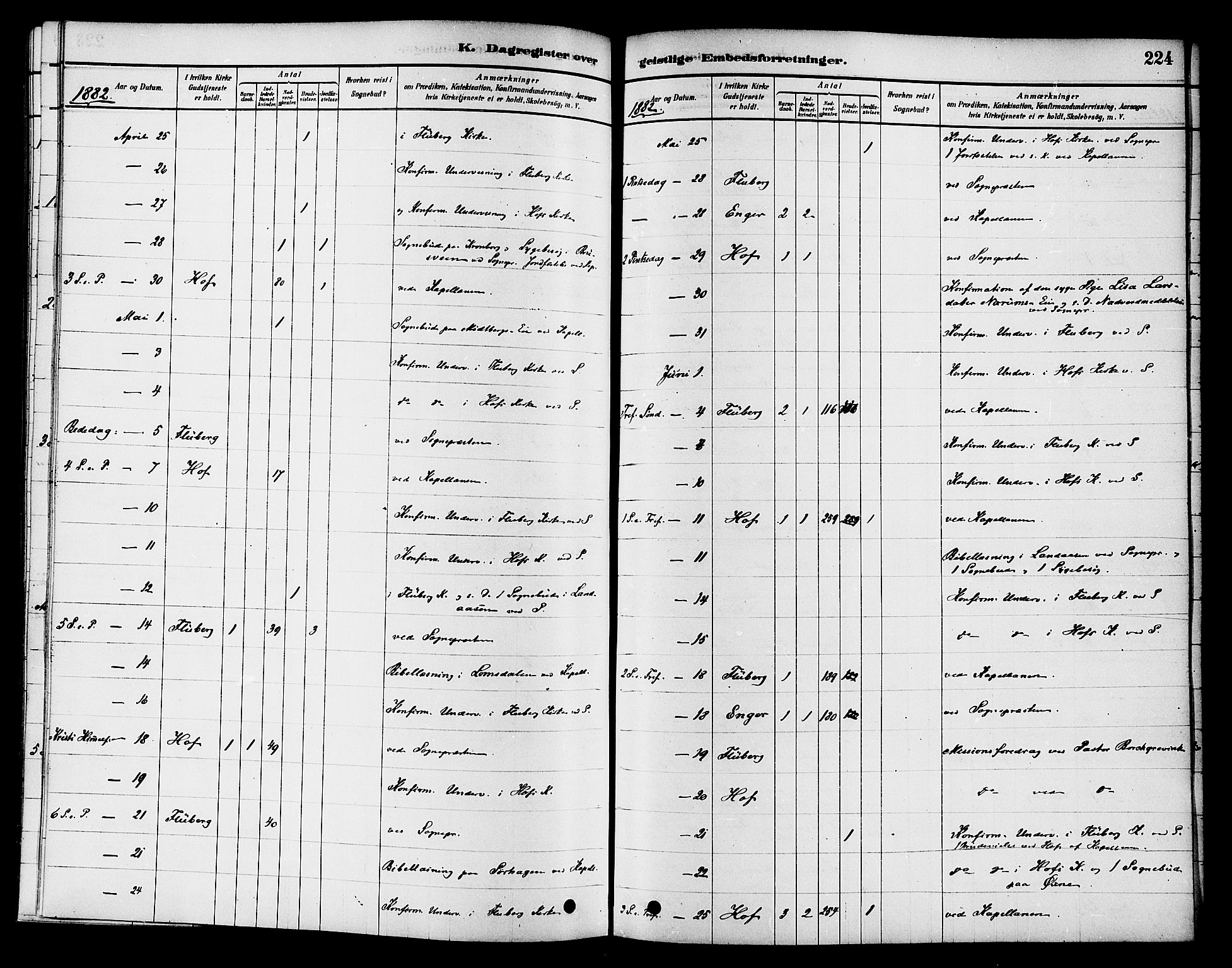 Søndre Land prestekontor, AV/SAH-PREST-122/K/L0002: Parish register (official) no. 2, 1878-1894, p. 224