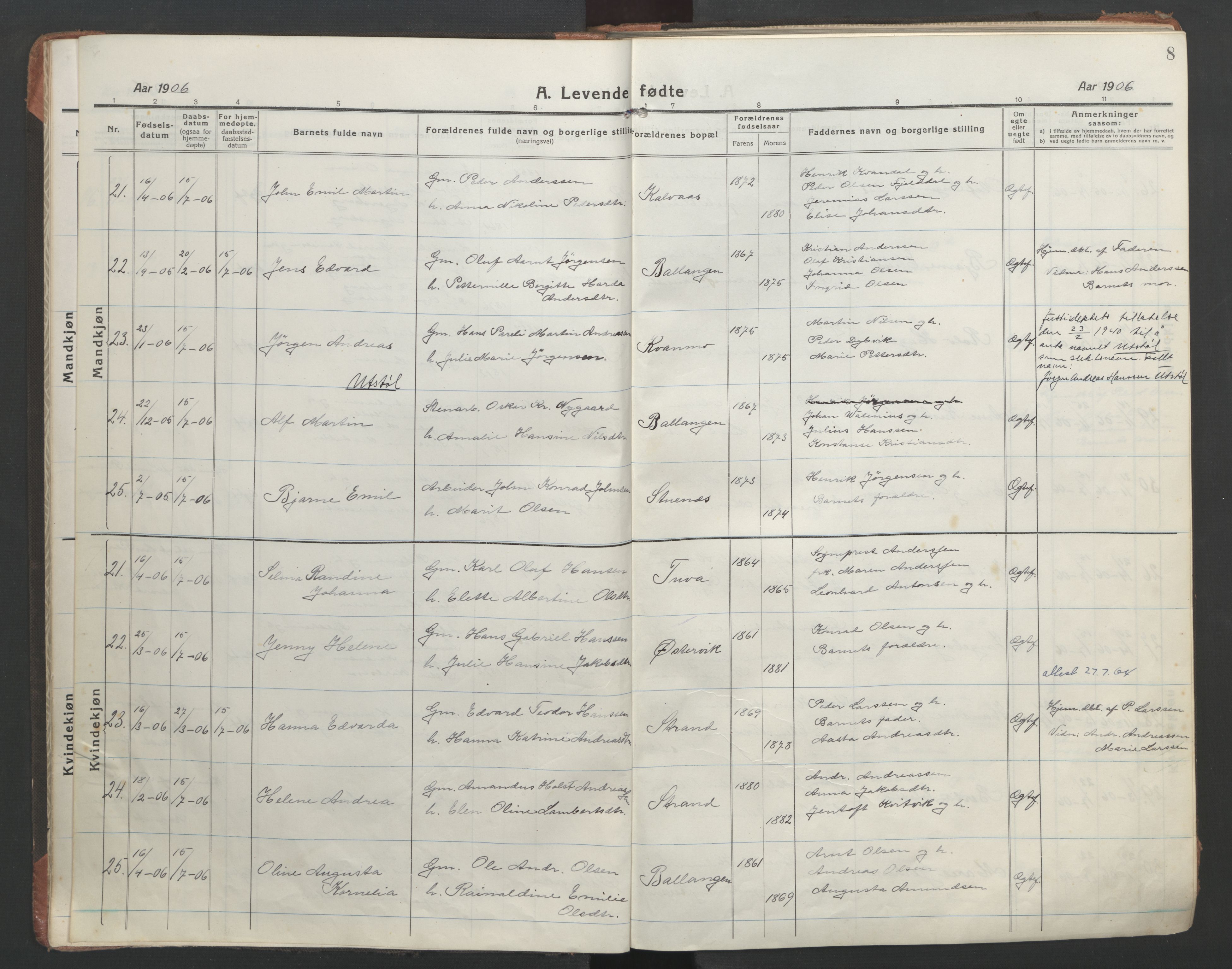 Ministerialprotokoller, klokkerbøker og fødselsregistre - Nordland, AV/SAT-A-1459/863/L0900: Parish register (official) no. 863A12, 1906-1915, p. 8