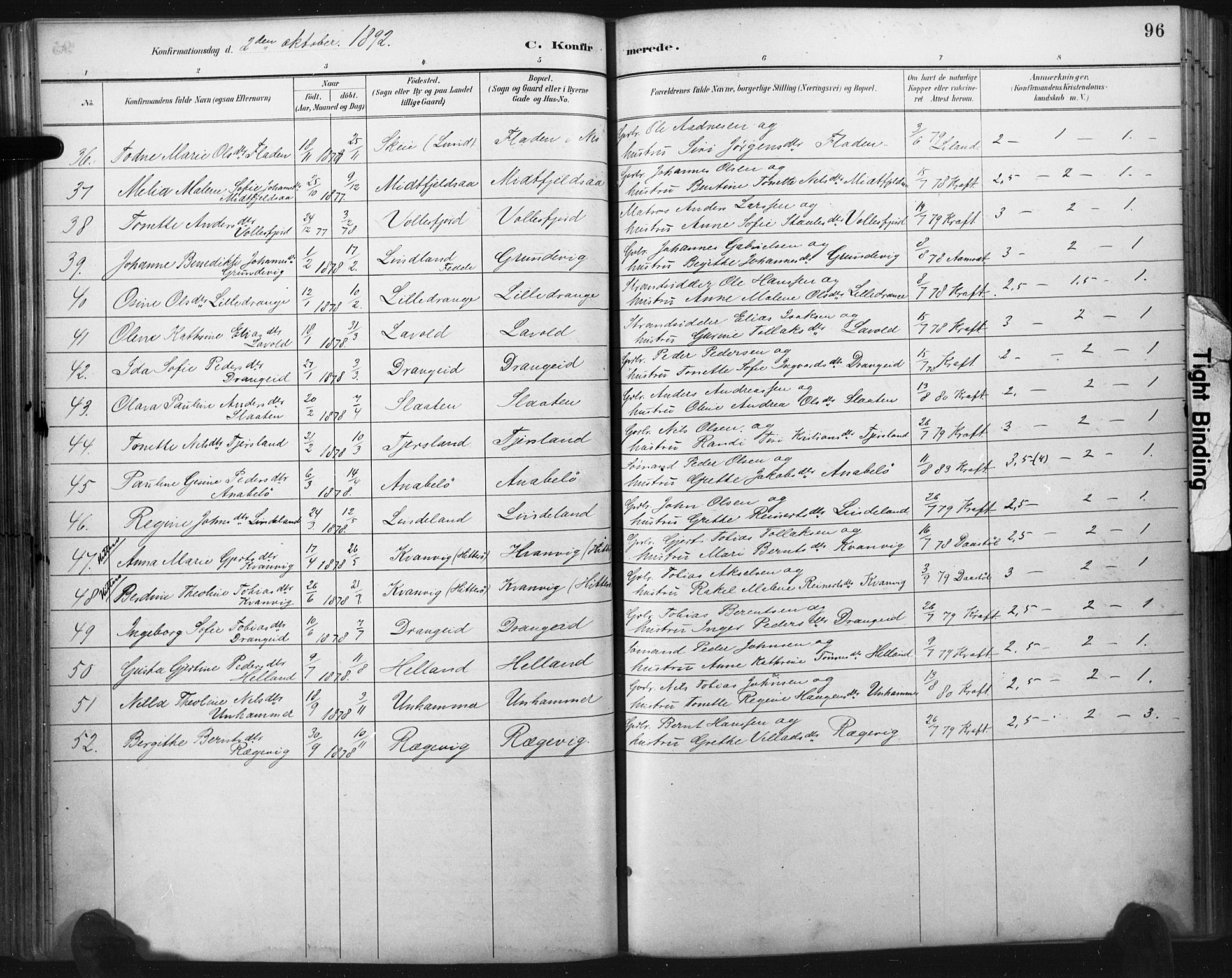 Flekkefjord sokneprestkontor, SAK/1111-0012/F/Fa/Fac/L0008: Parish register (official) no. A 8, 1885-1898, p. 96