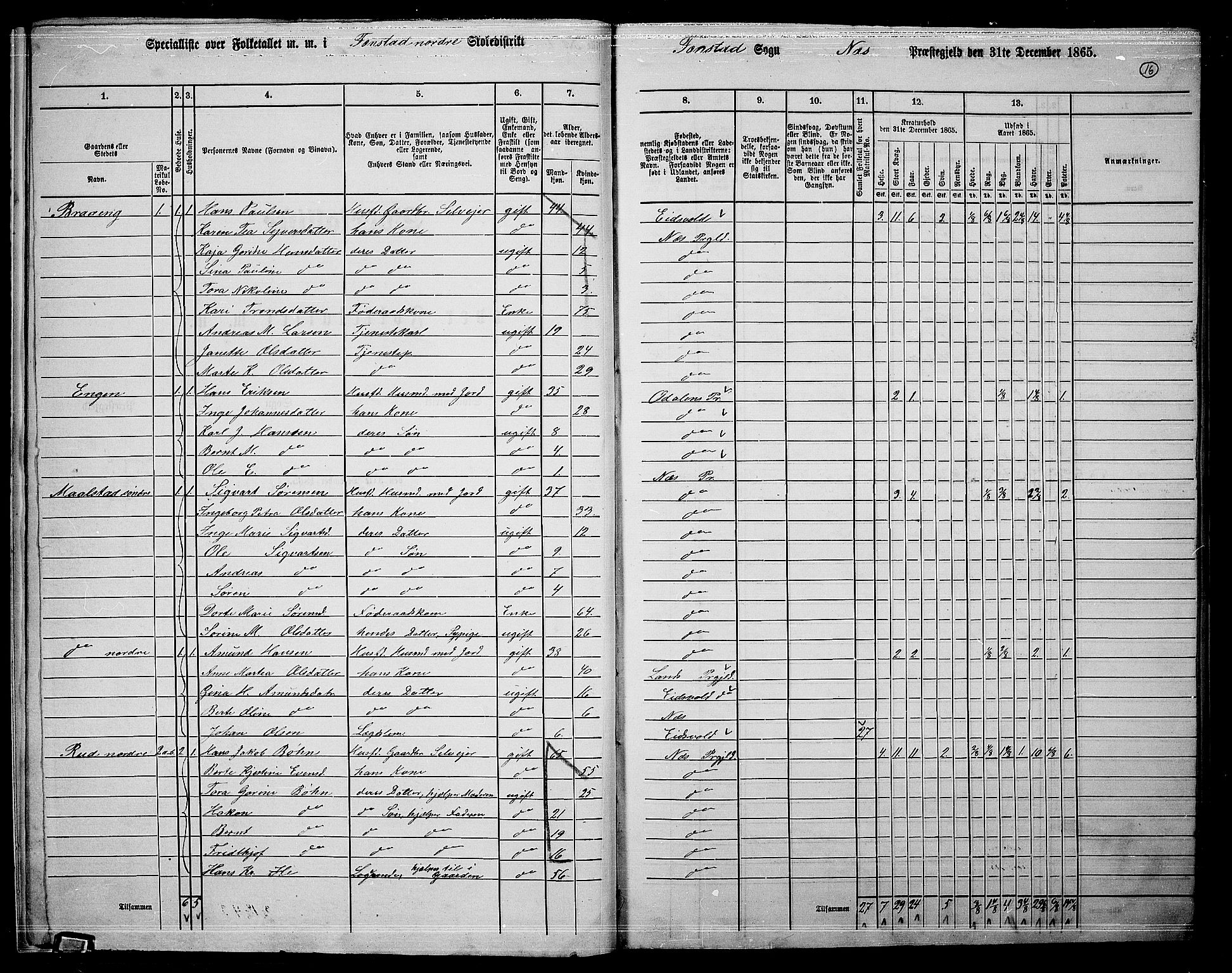 RA, 1865 census for Nes, 1865, p. 15