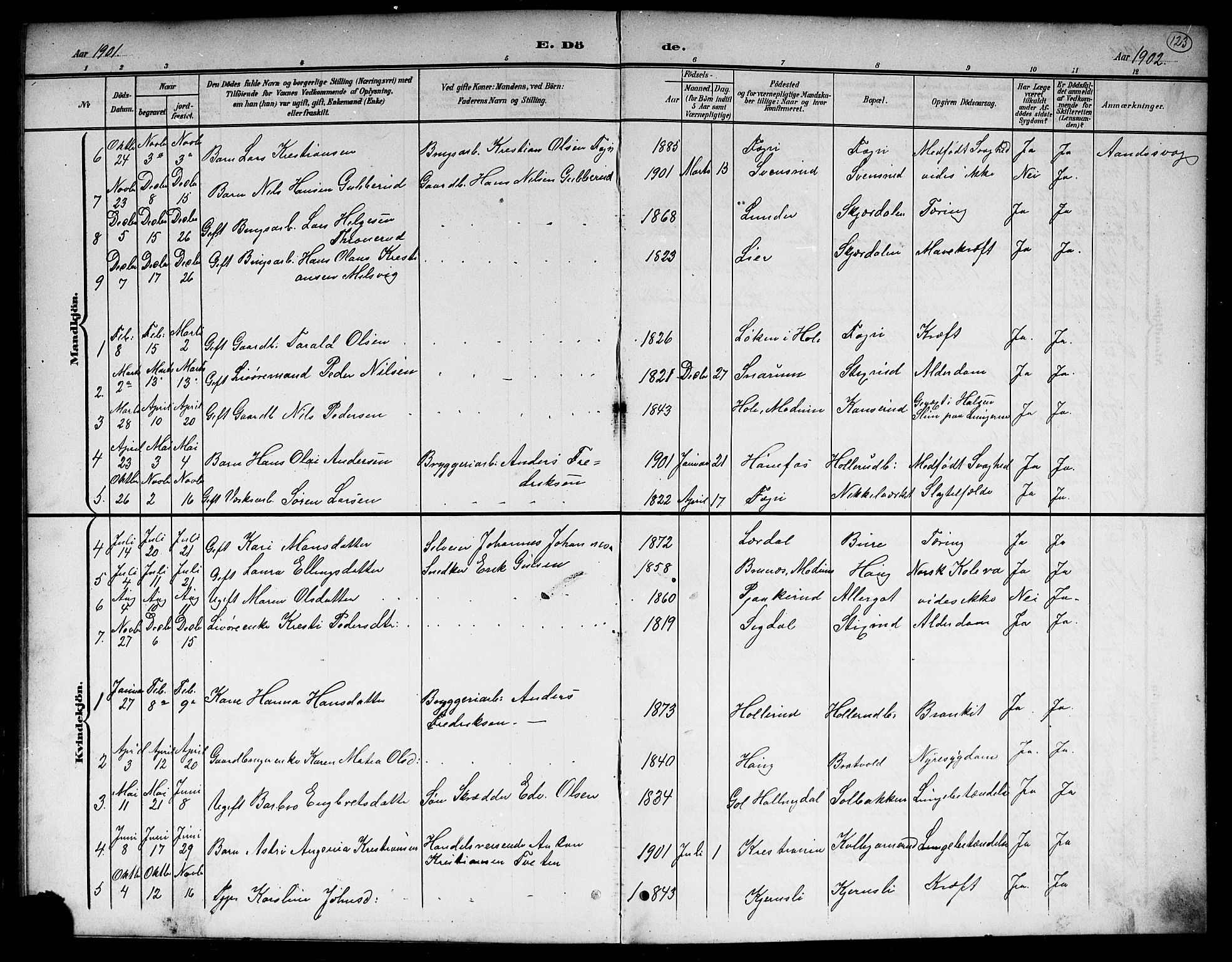 Hole kirkebøker, SAKO/A-228/G/Gb/L0004: Parish register (copy) no. II 4, 1901-1916, p. 123