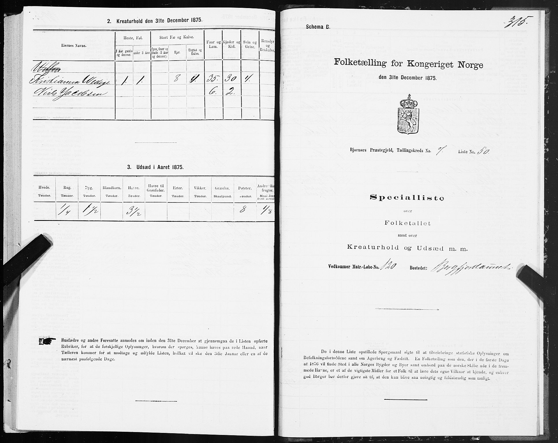 SAT, 1875 census for 1632P Bjørnør, 1875, p. 3315