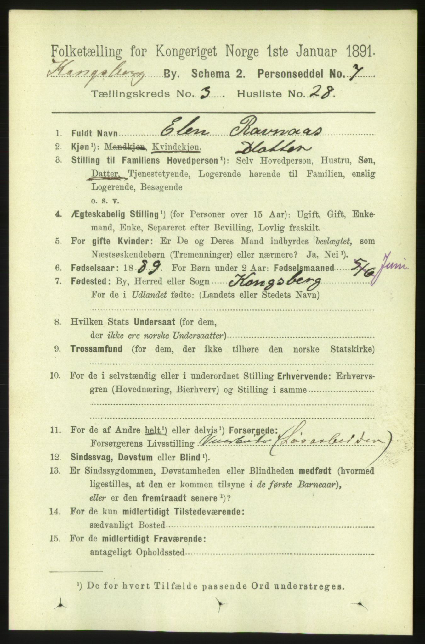 RA, 1891 census for 0604 Kongsberg, 1891, p. 3013
