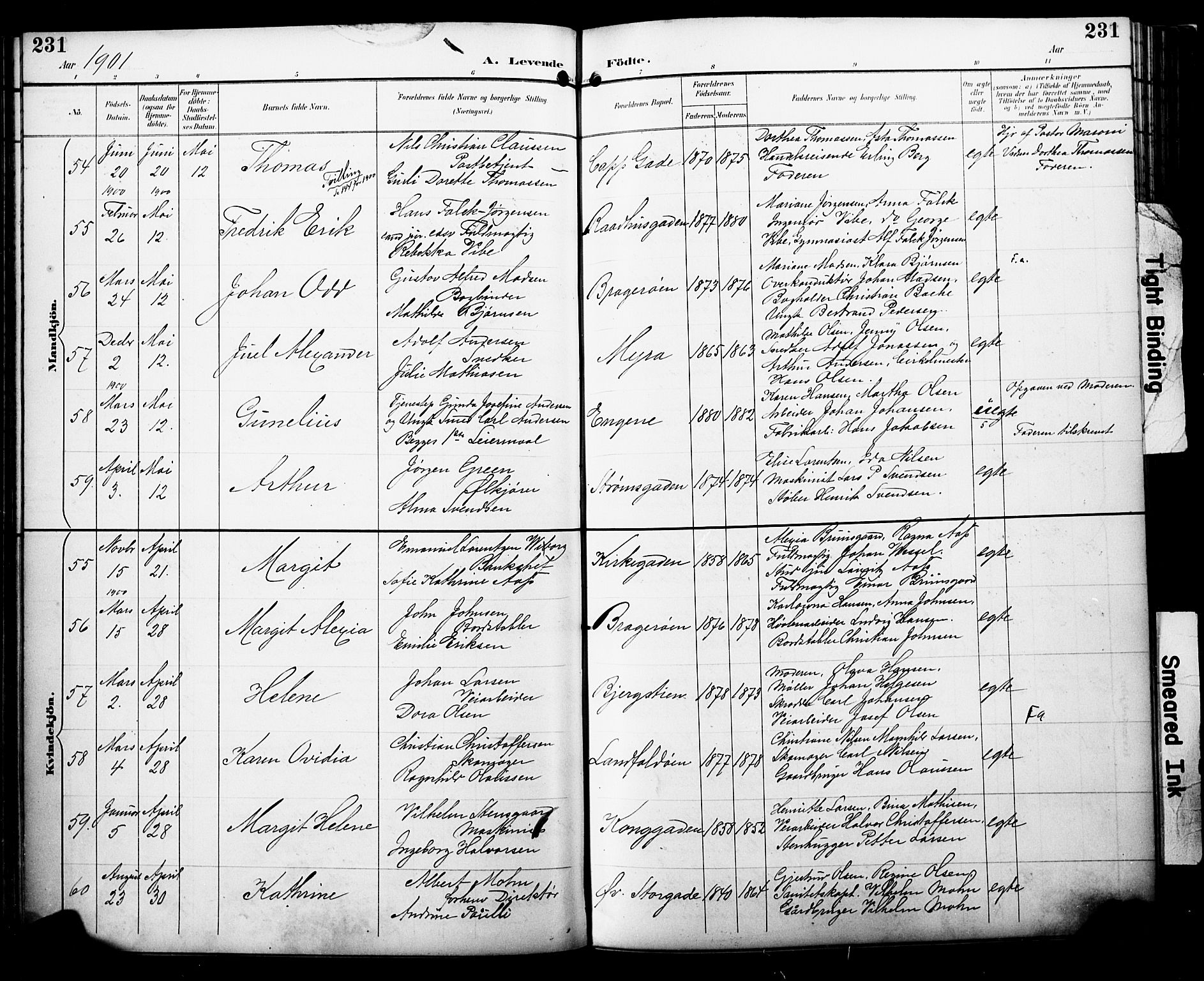 Bragernes kirkebøker, SAKO/A-6/F/Fb/L0008: Parish register (official) no. II 8, 1894-1902, p. 231