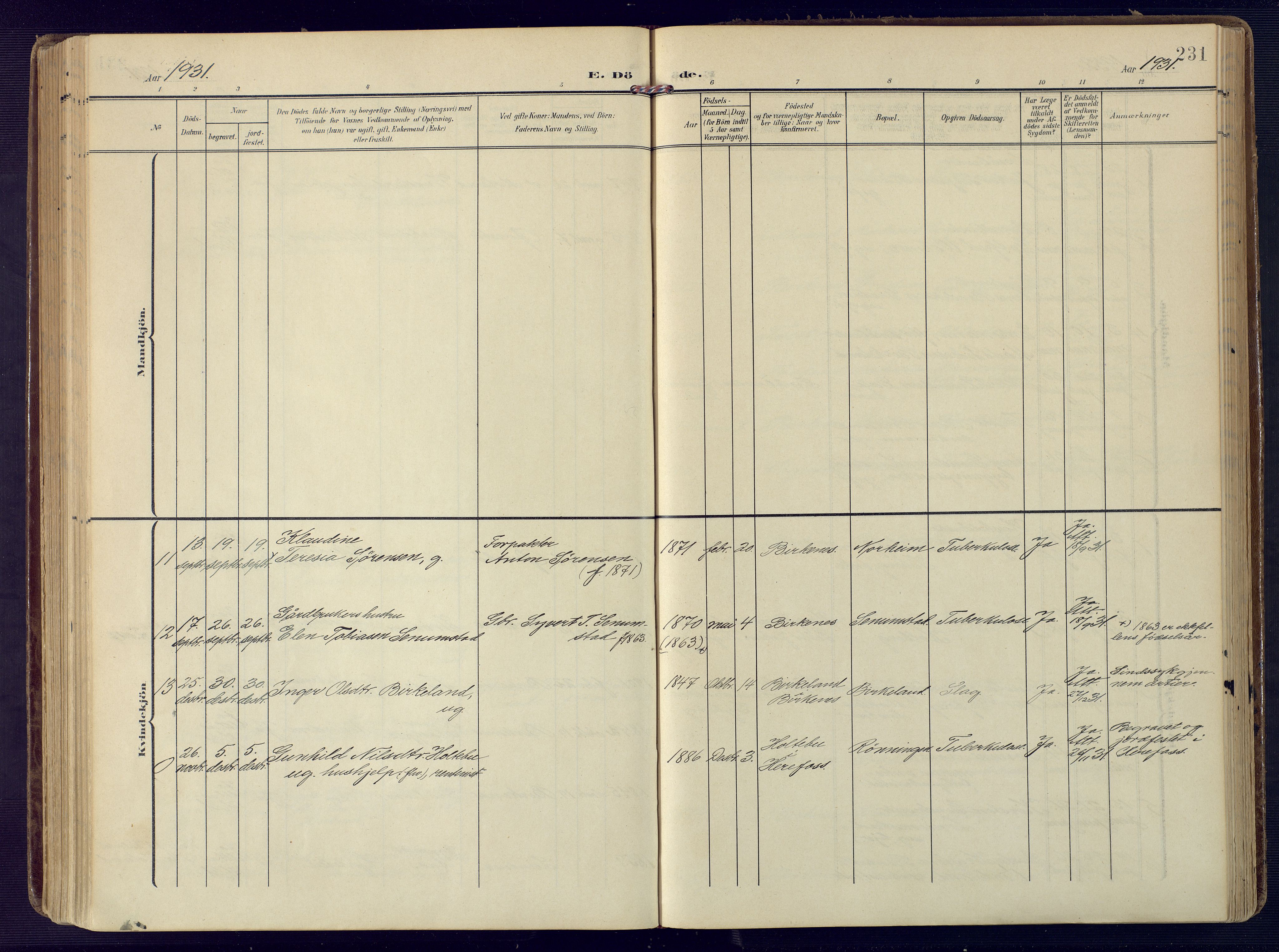 Birkenes sokneprestkontor, SAK/1111-0004/F/Fa/L0006: Parish register (official) no. A 6, 1908-1932, p. 231